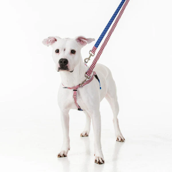 Star Spangled Freedom No-Pull Dog Harness – EarthStyle - Image 4