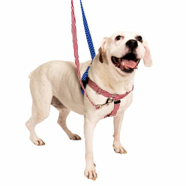 Star Spangled Freedom No-Pull Dog Harness – EarthStyle - Image 5