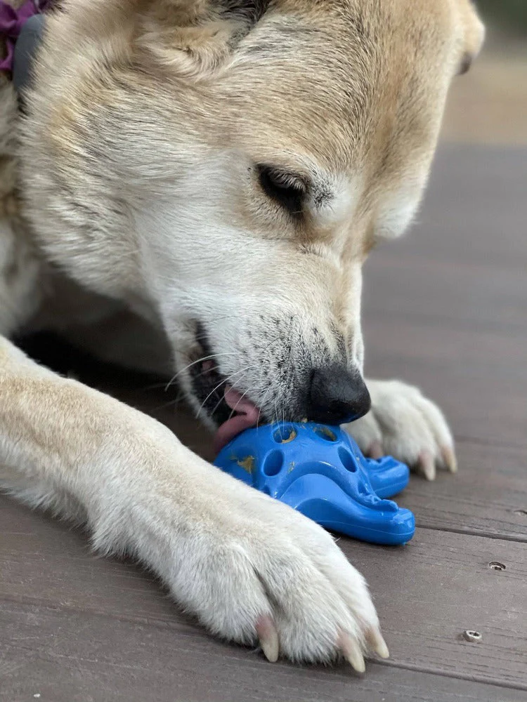 Starfish Nylon Dog Chew Toy for Aggressive Chewers | USA Made | SodaPup - Image 11
