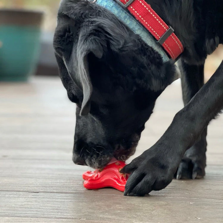 Starfish Nylon Dog Chew Toy for Aggressive Chewers | USA Made | SodaPup - Image 12
