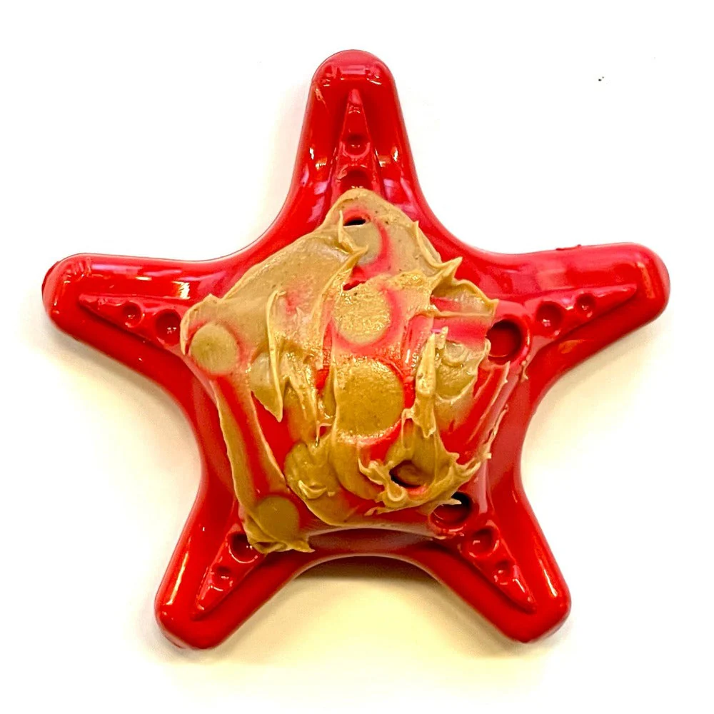 Starfish Nylon Dog Chew Toy for Aggressive Chewers | USA Made | SodaPup - Image 2