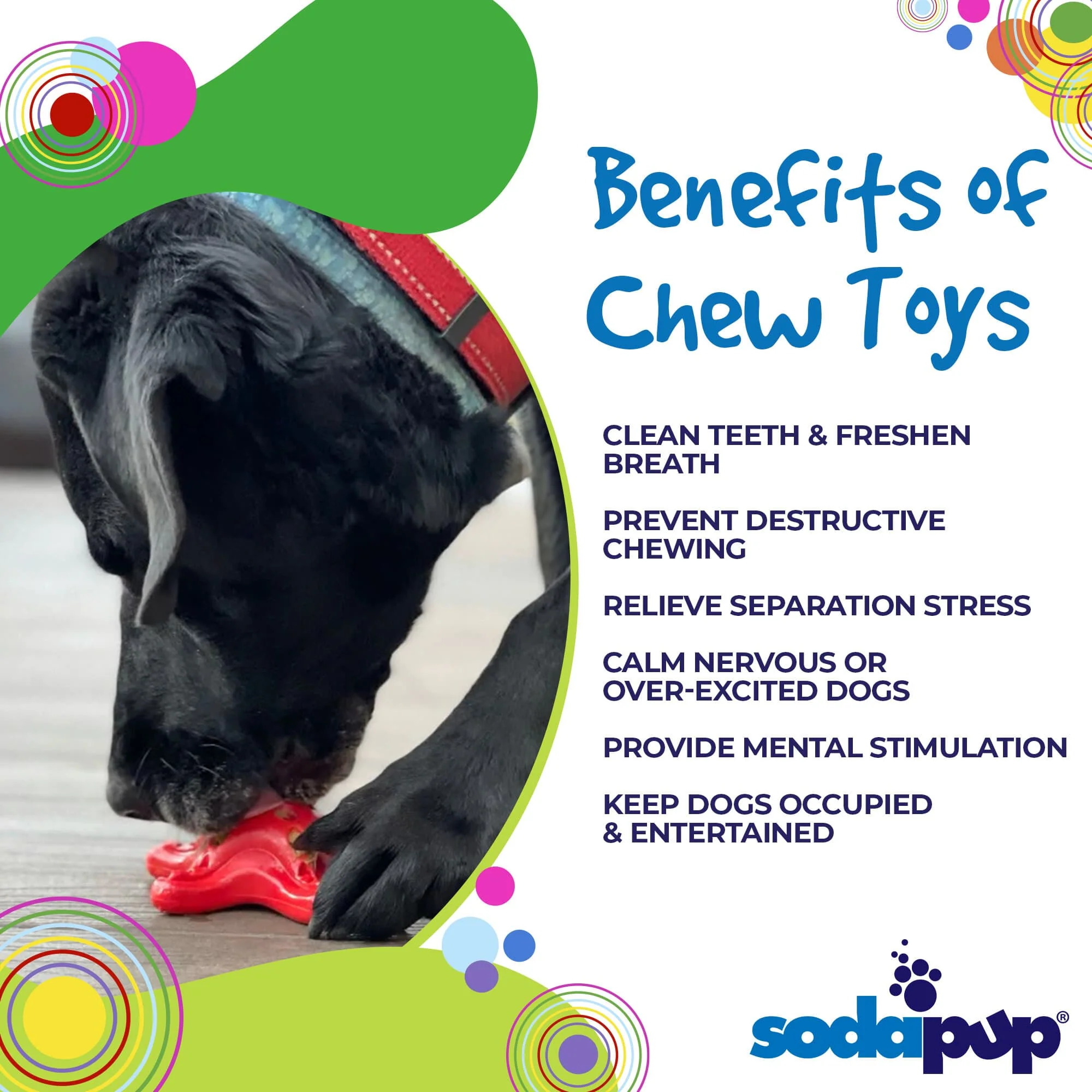 Starfish Nylon Dog Chew Toy for Aggressive Chewers | USA Made | SodaPup - Image 5