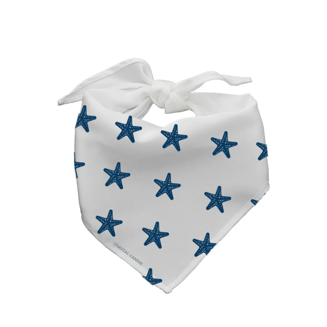 Starfish Themed Dog Bandanna - Image 3