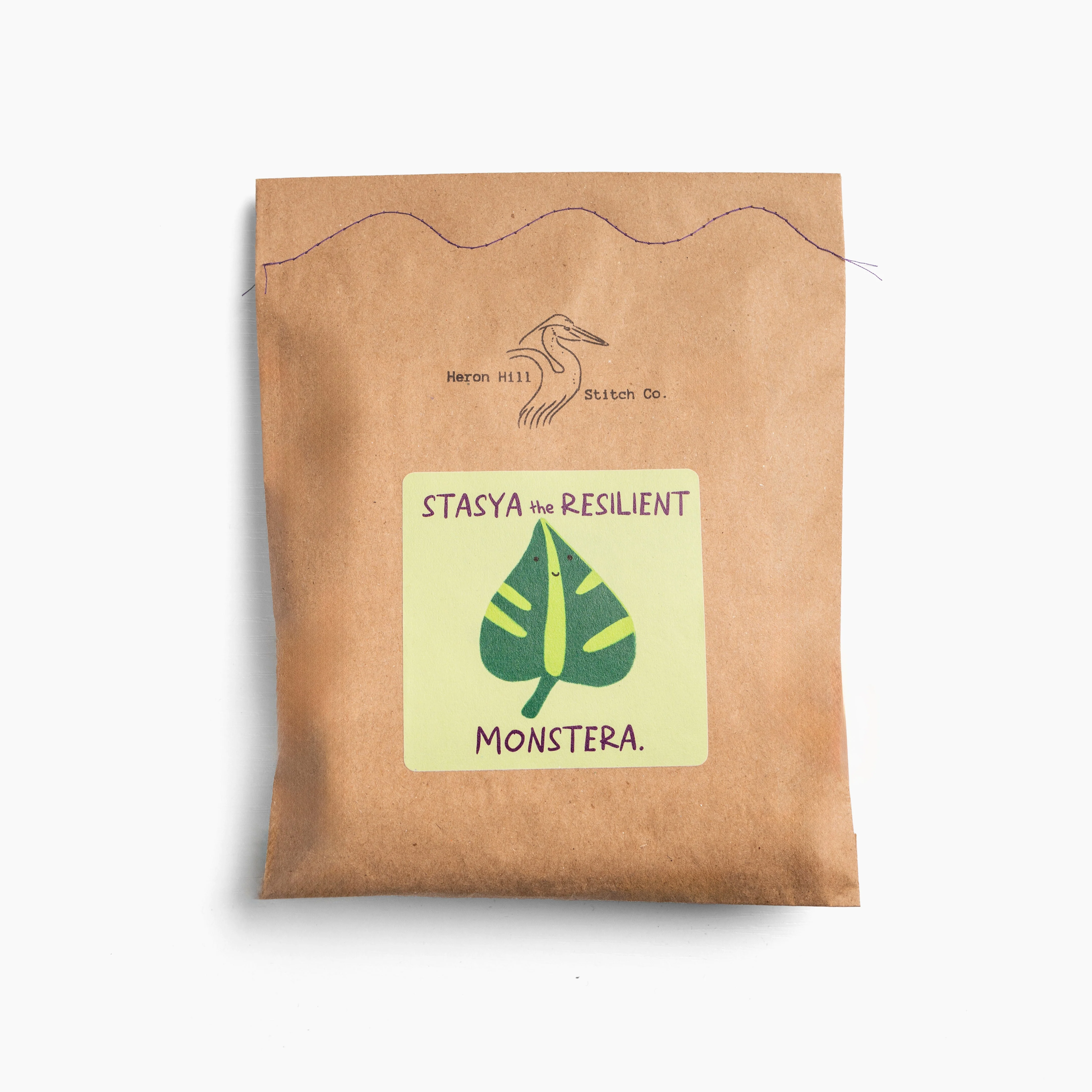 Stasya the Resilient Monstera - Image 3