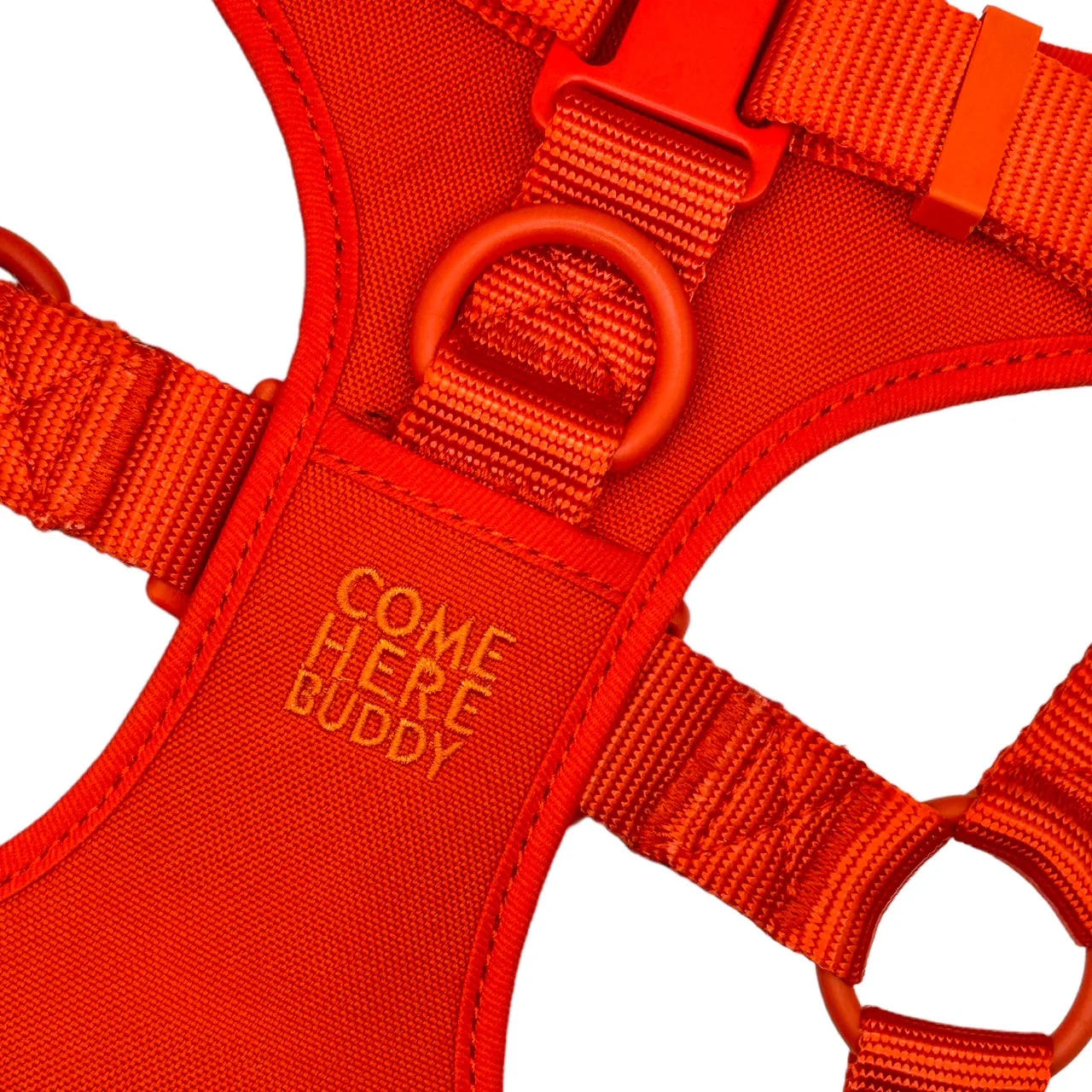 Step In Dog Harness - Image 15