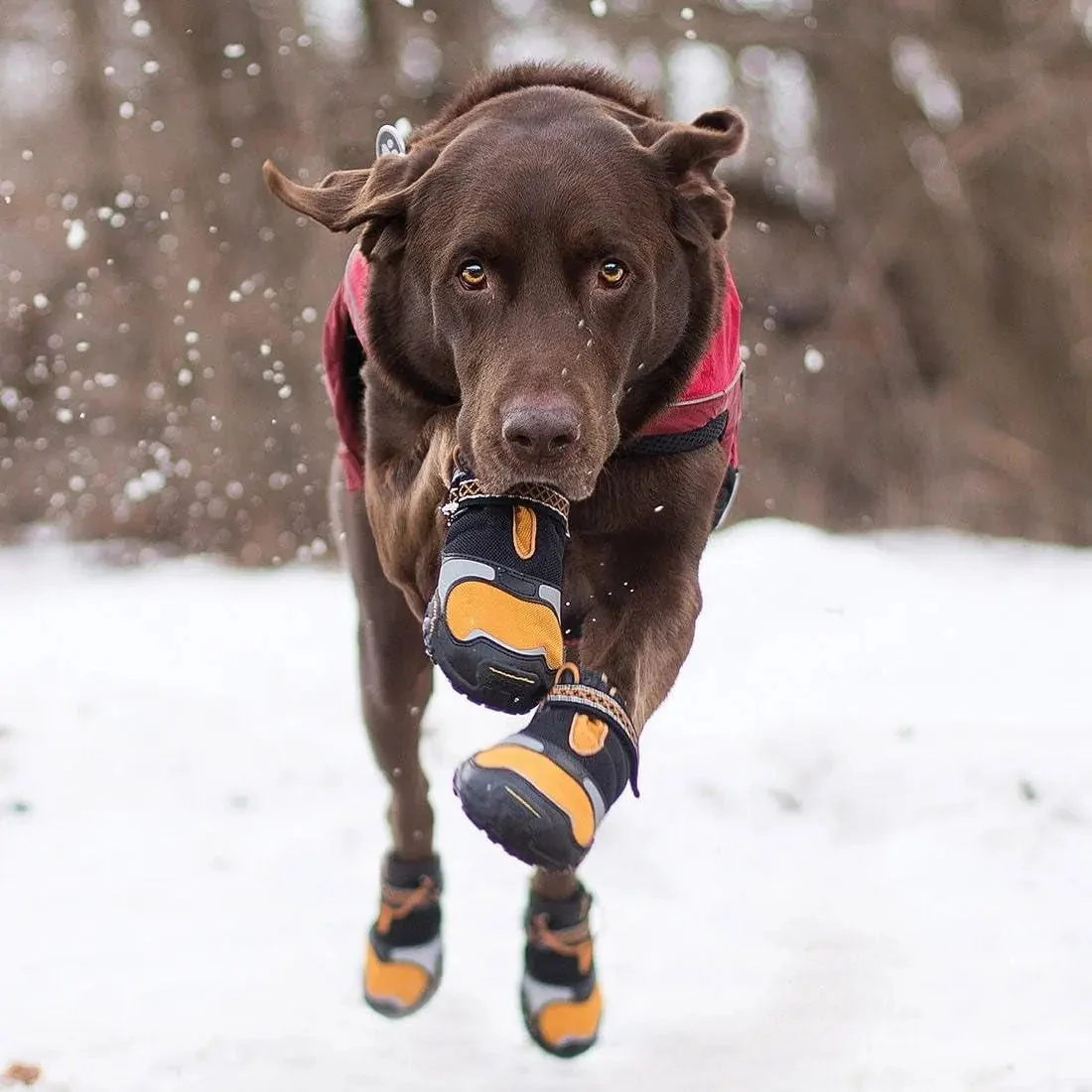 Step N' Strobe Dog Shoes - Water Resistant Dog Boots for All Seasons - Anti-Slip Protective Dog Footwear - LED Light up Soles - Reflective High Visibility Footwear - Set of 4 - X-Large - Image 4