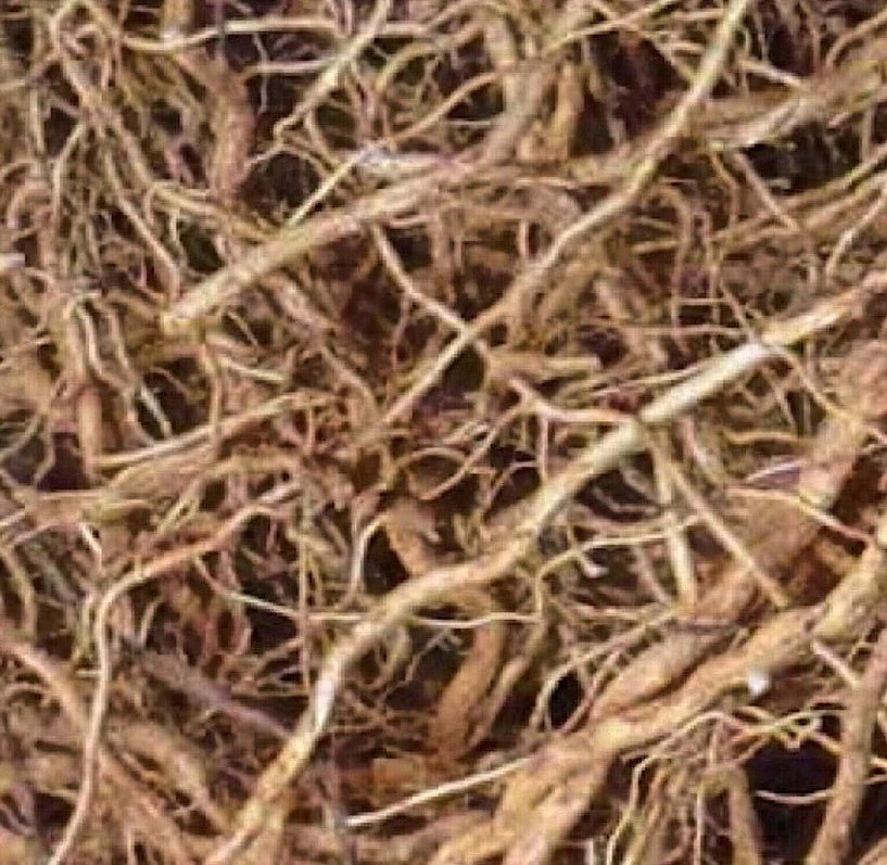 Still Earth: Vetiver + Sandalwood - Botanical Scent Balm - Image 7