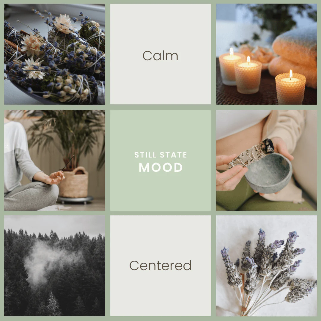 Still State – Lavender & Sage Soy Wax Melts - Image 2