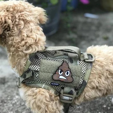 STINKY POOP Morale Patch - Image 3