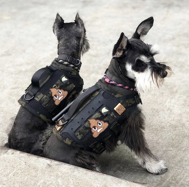 STINKY POOP Morale Patch - Image 8