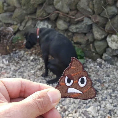 STINKY POOP Morale Patch - Image 9
