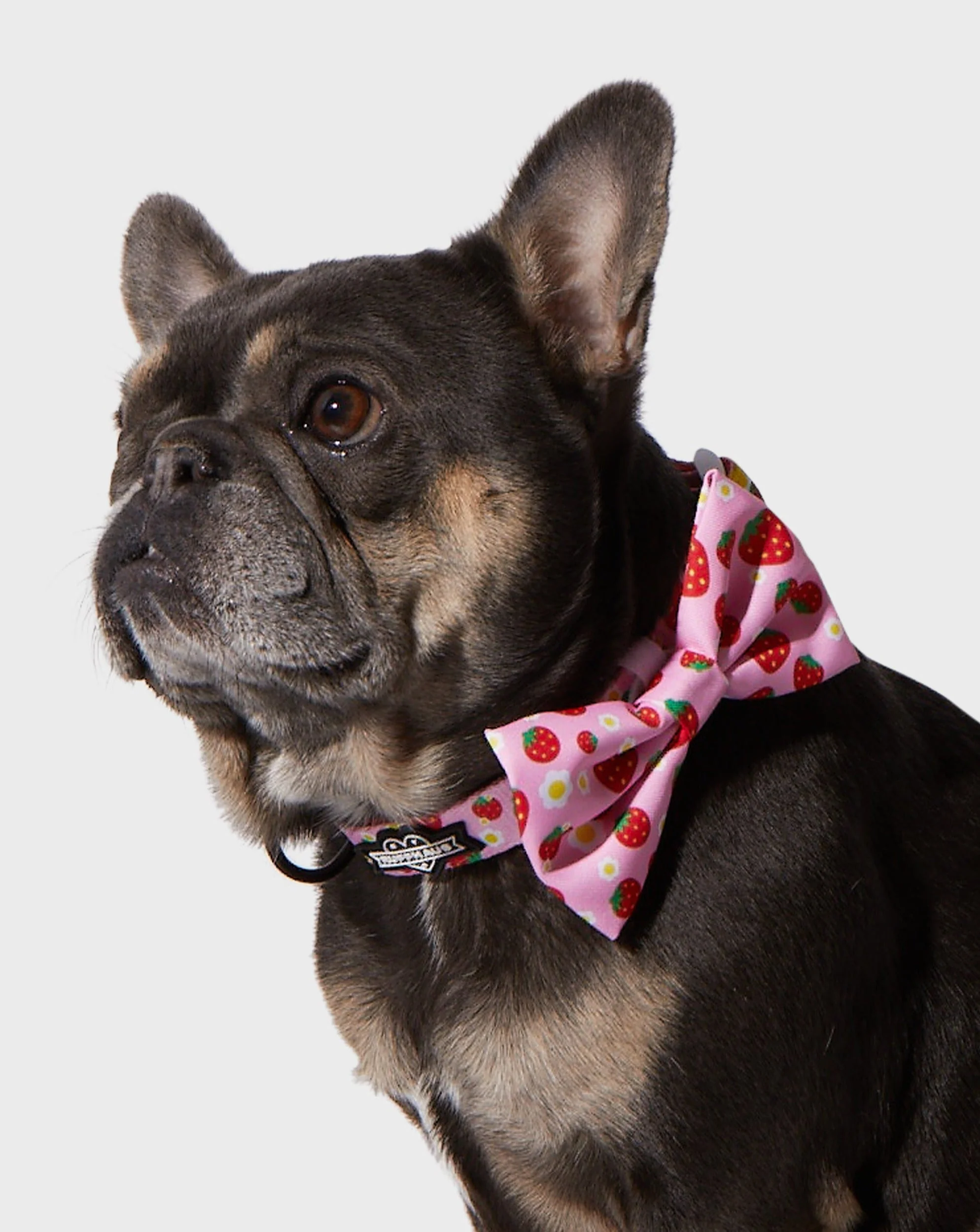 Strawberry Bowtie - Image 2