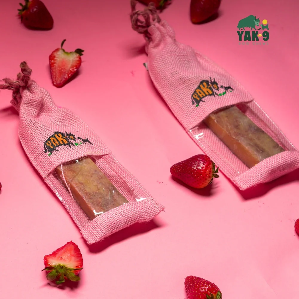 Strawberry Cheese Chews for Dogs - Image 3