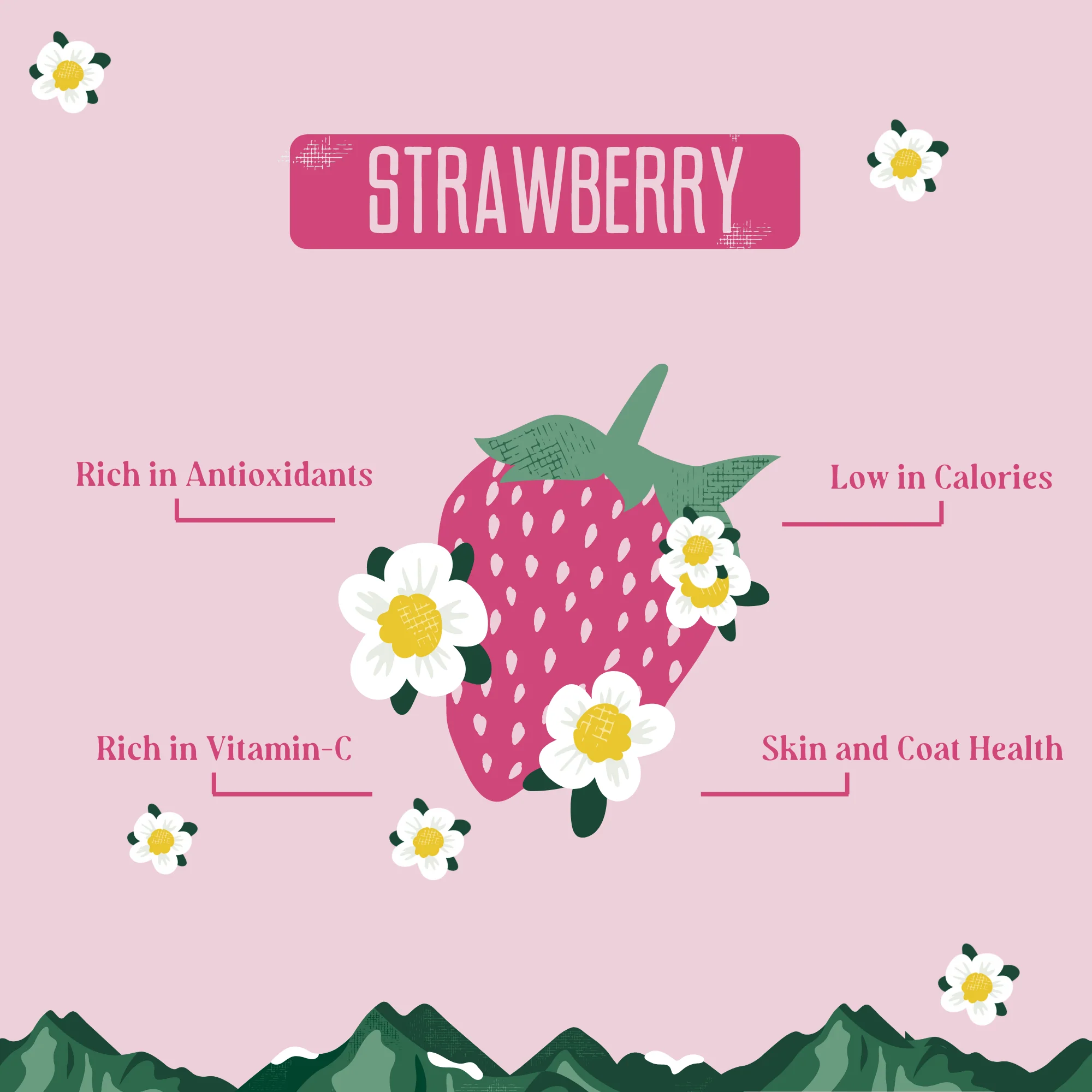 Strawberry Cheese Chews for Dogs - Image 4