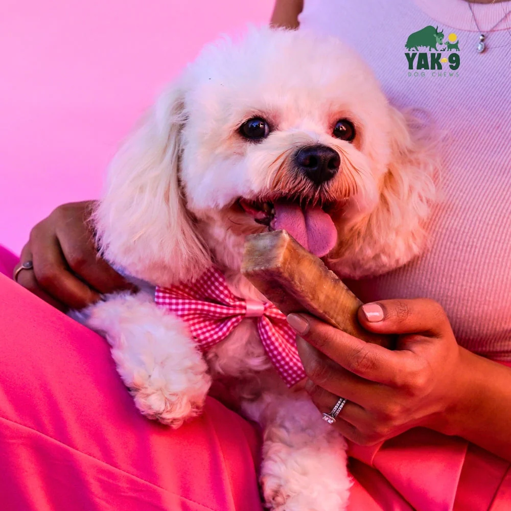 Strawberry Cheese Chews for Dogs - Image 5