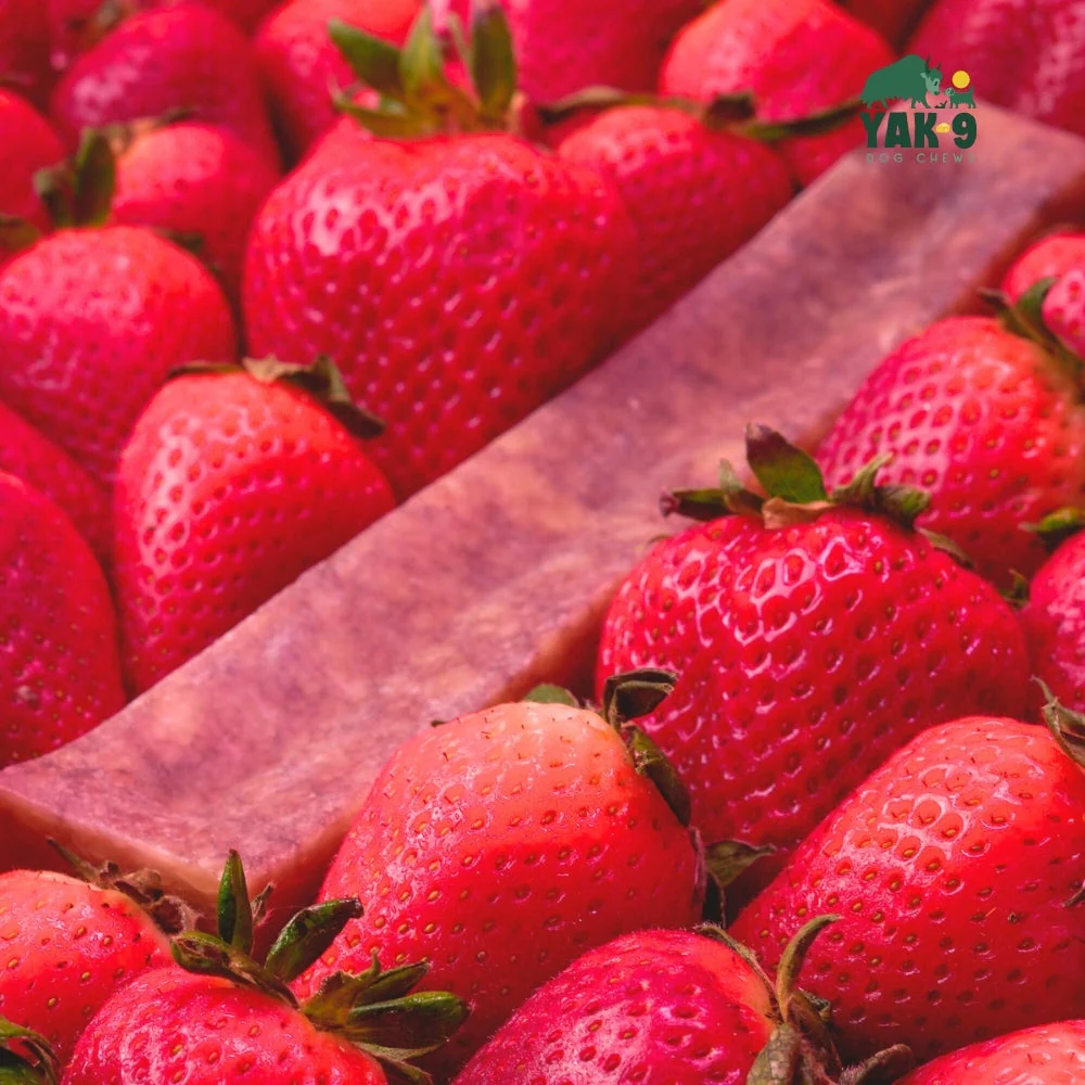Strawberry Cheese Chews for Dogs - Image 6