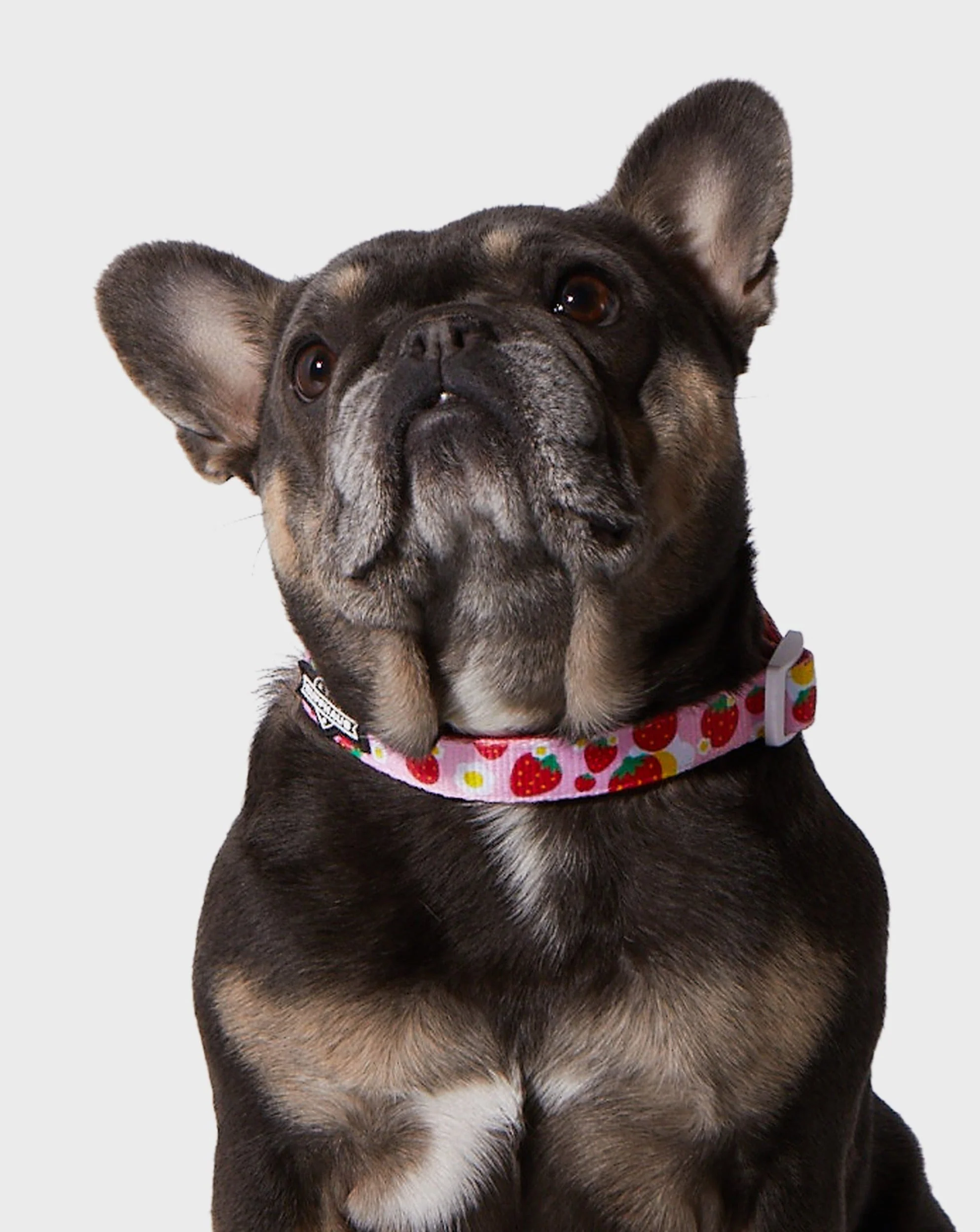 Strawberry Collar & Bowtie - Image 3
