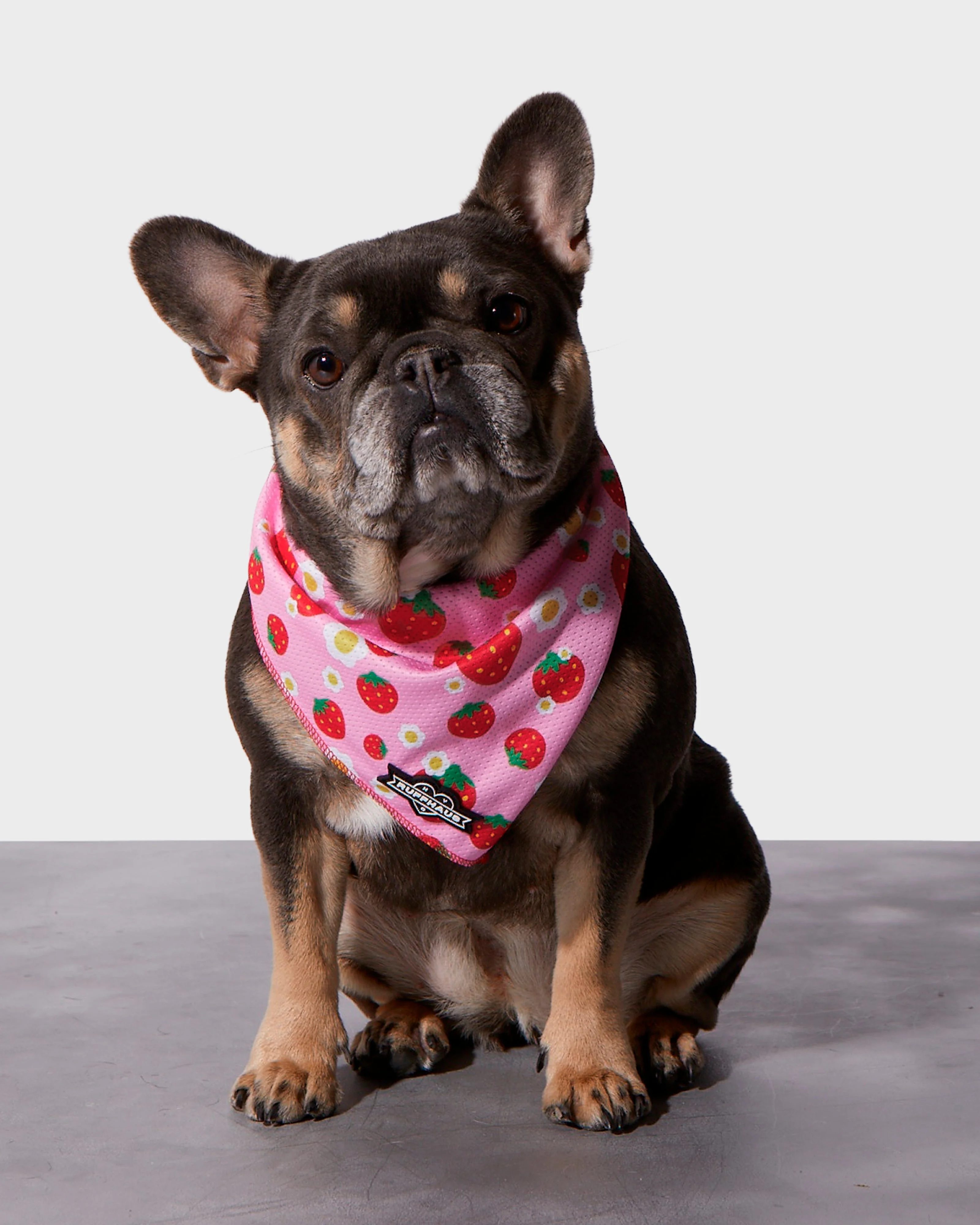 Strawberry Cooling Bandana - Image 2