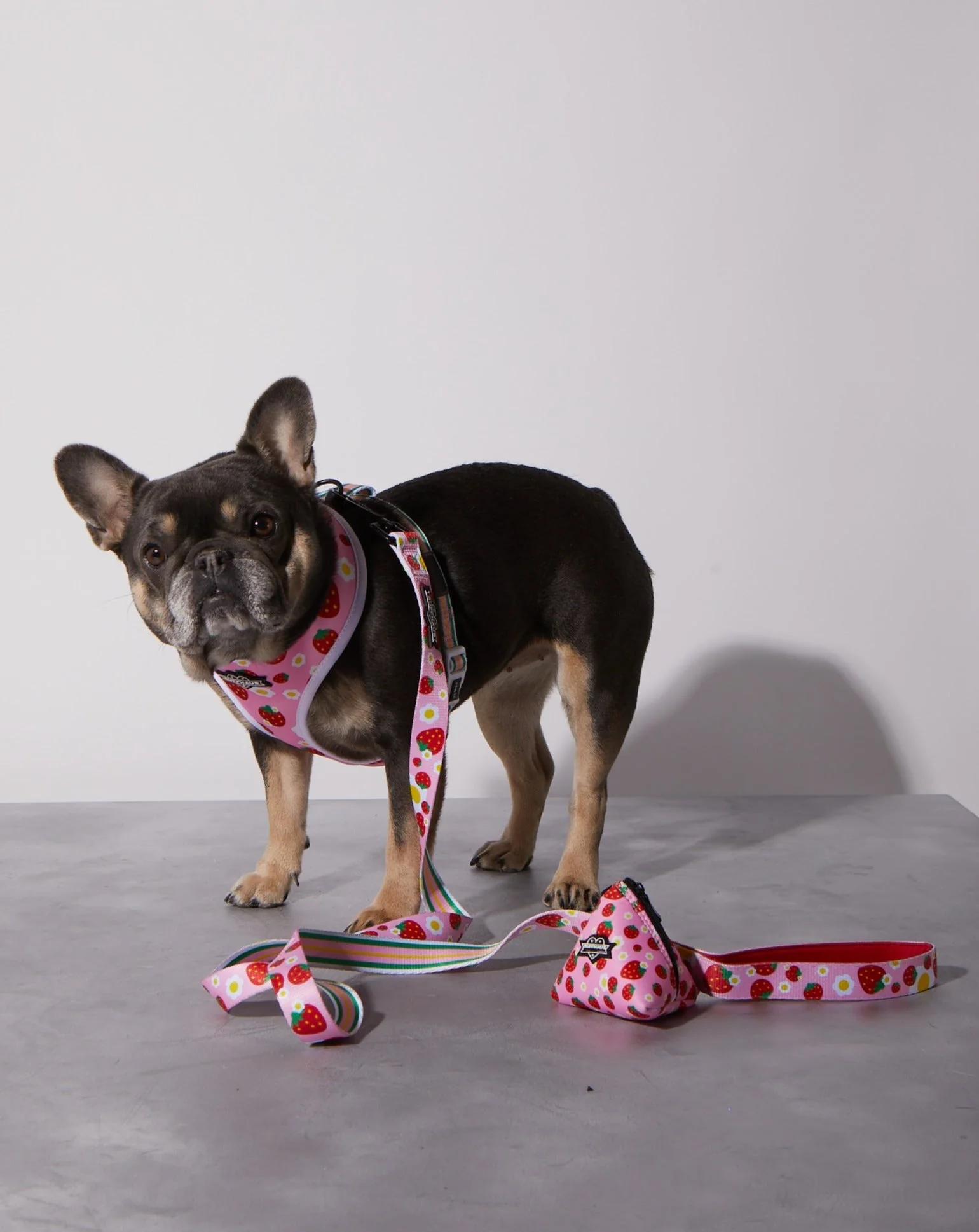 Strawberry Dog Leash - Image 2