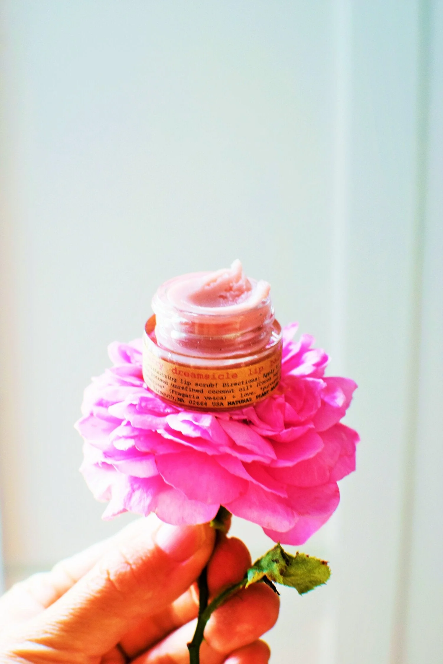 Strawberry Dreamsicle Lip Balm Scrub - Image 4