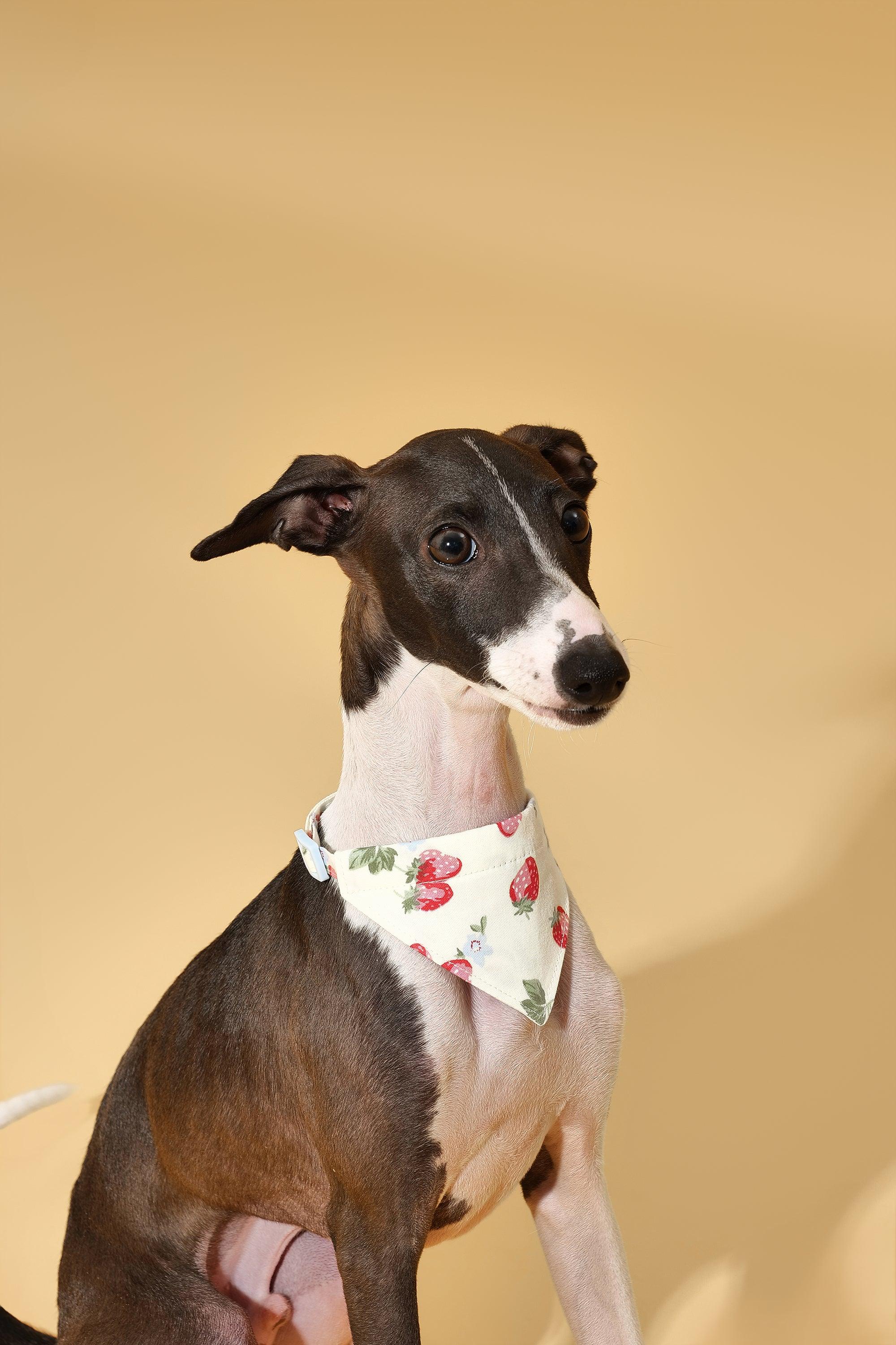Strawberry Fields Butter Yellow Triangle Bandana - Image 4