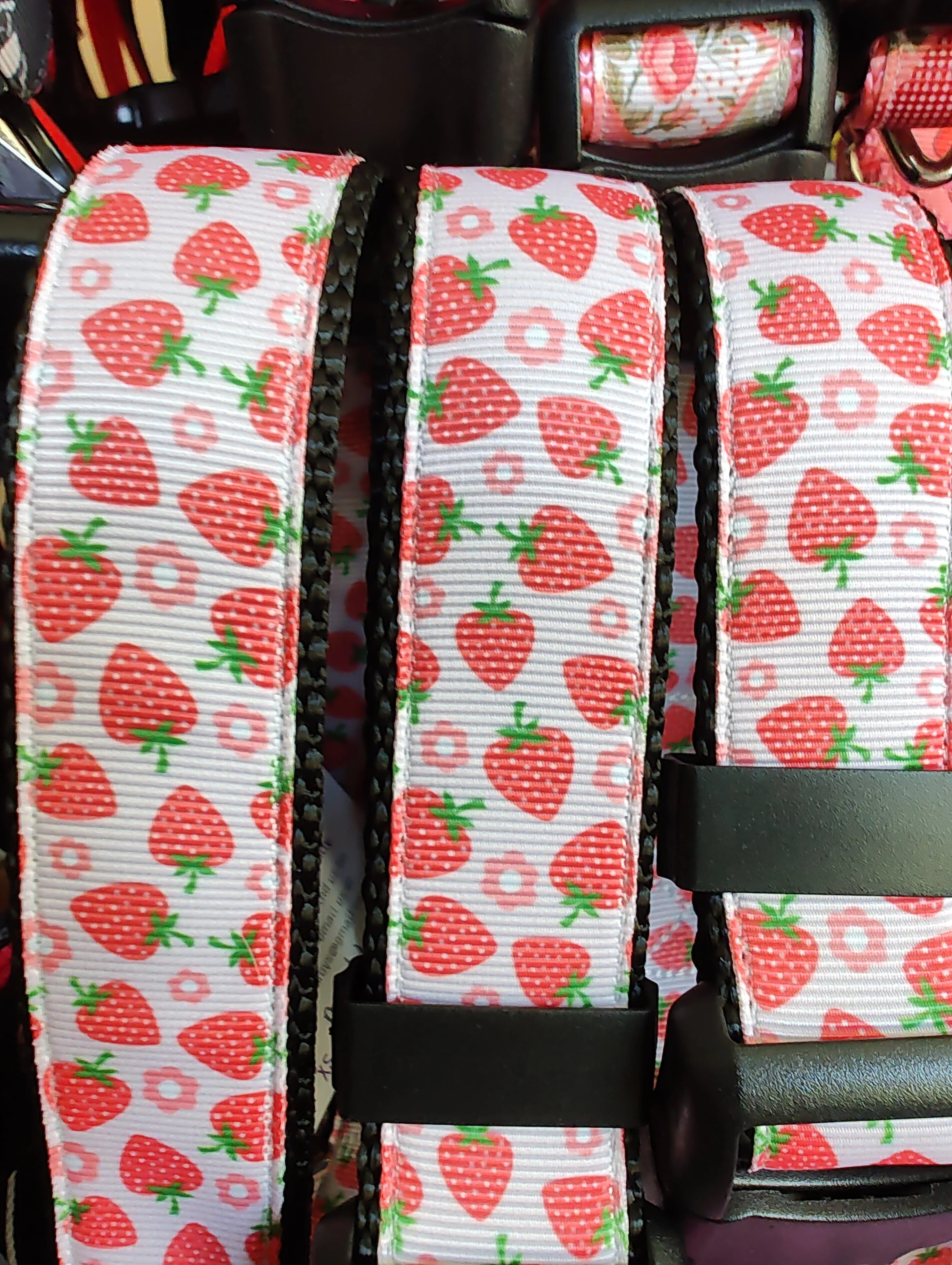 Strawberry Flowers Black Nylon Dog Collar MD, LG, XL, Leash - Image 2