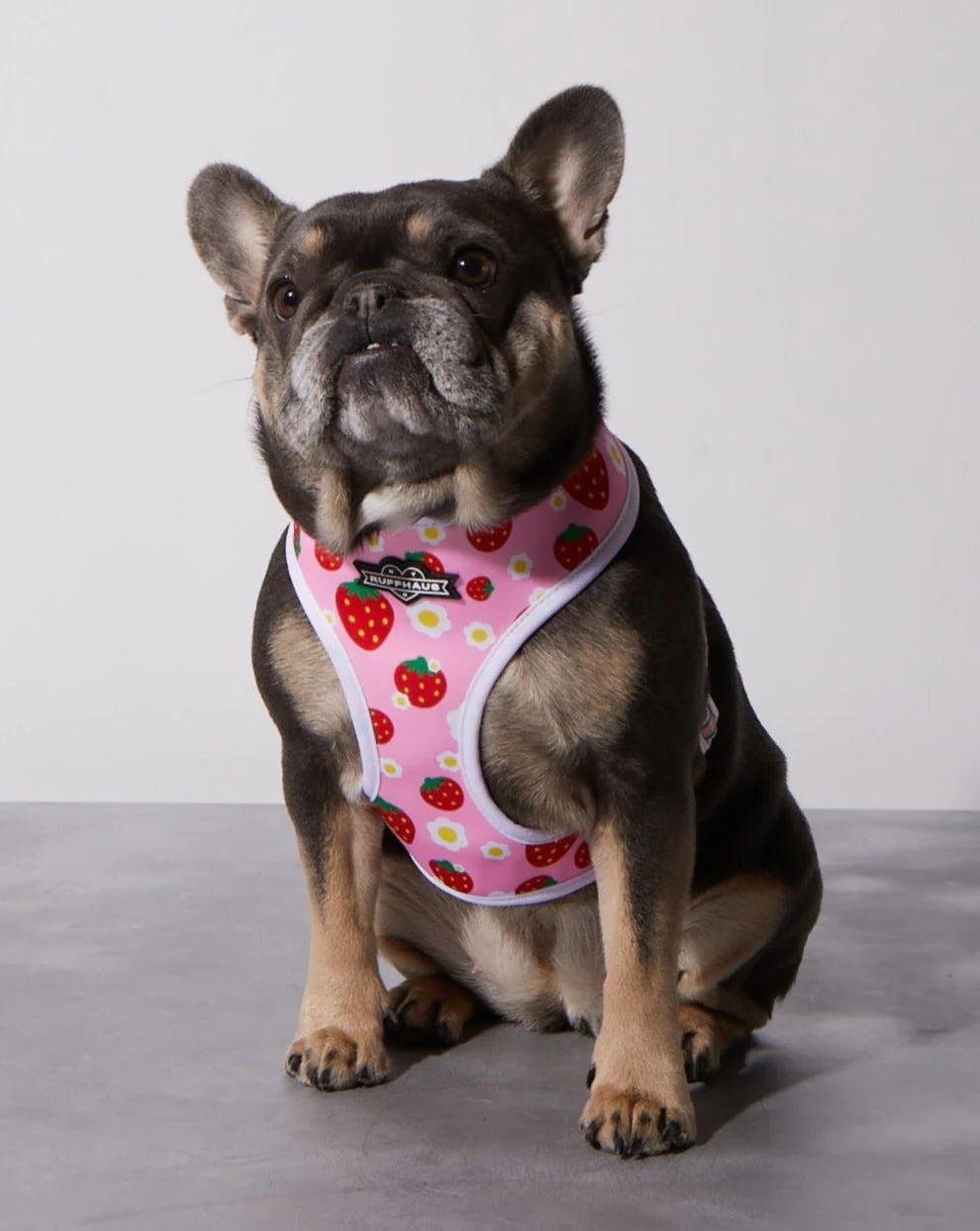 Strawberry Milk Reversible Harness - Image 2