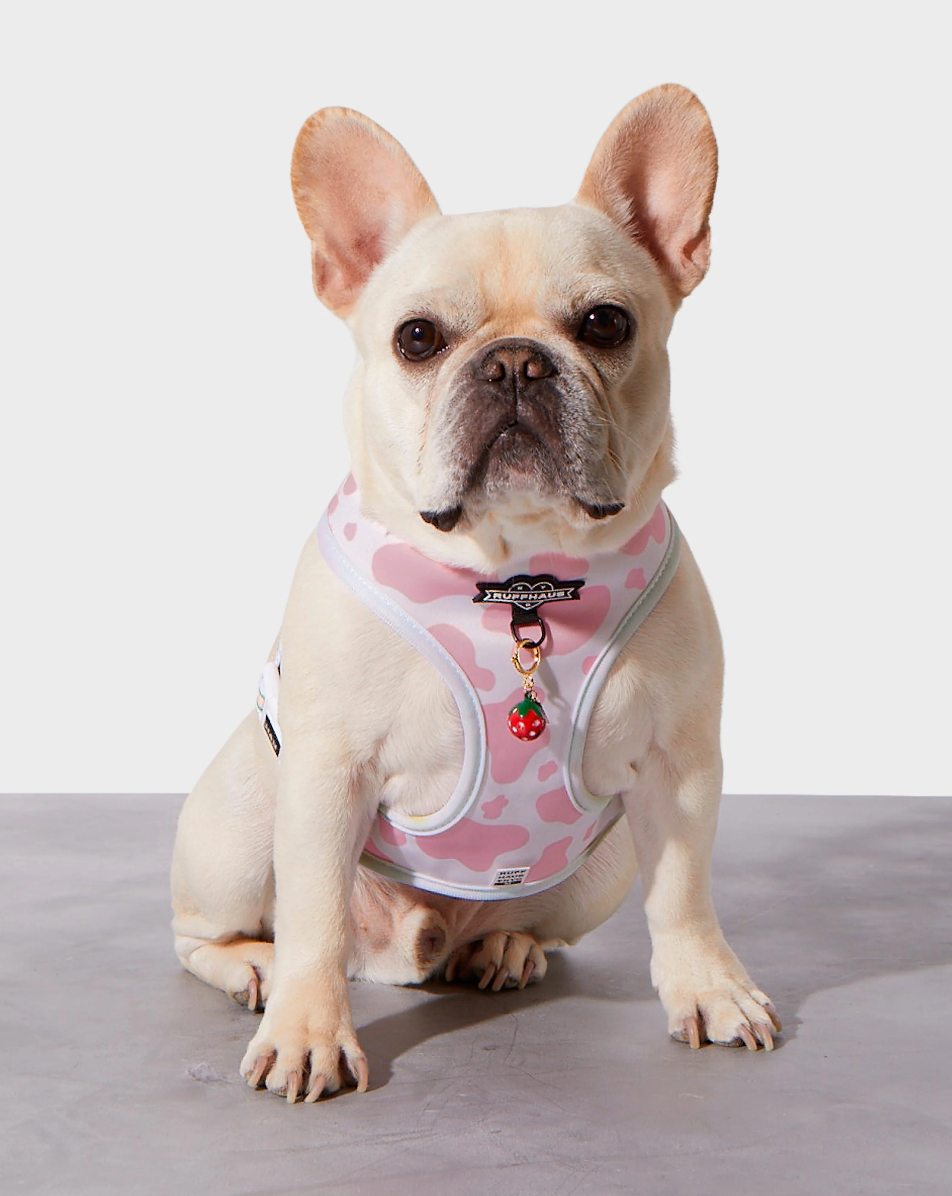 Strawberry Milk Reversible Harness - Image 3