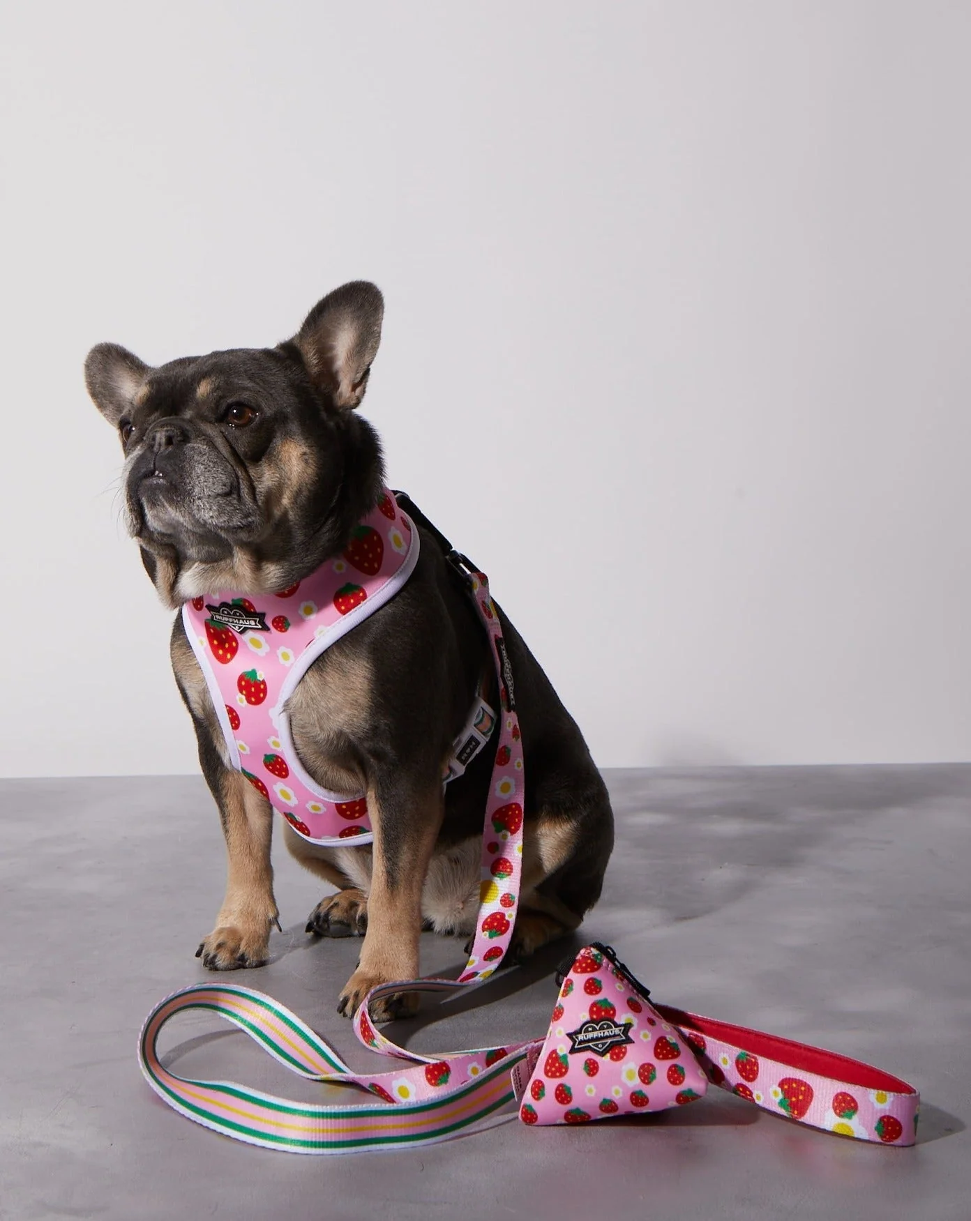 Strawberry Milk Reversible Harness - Image 4