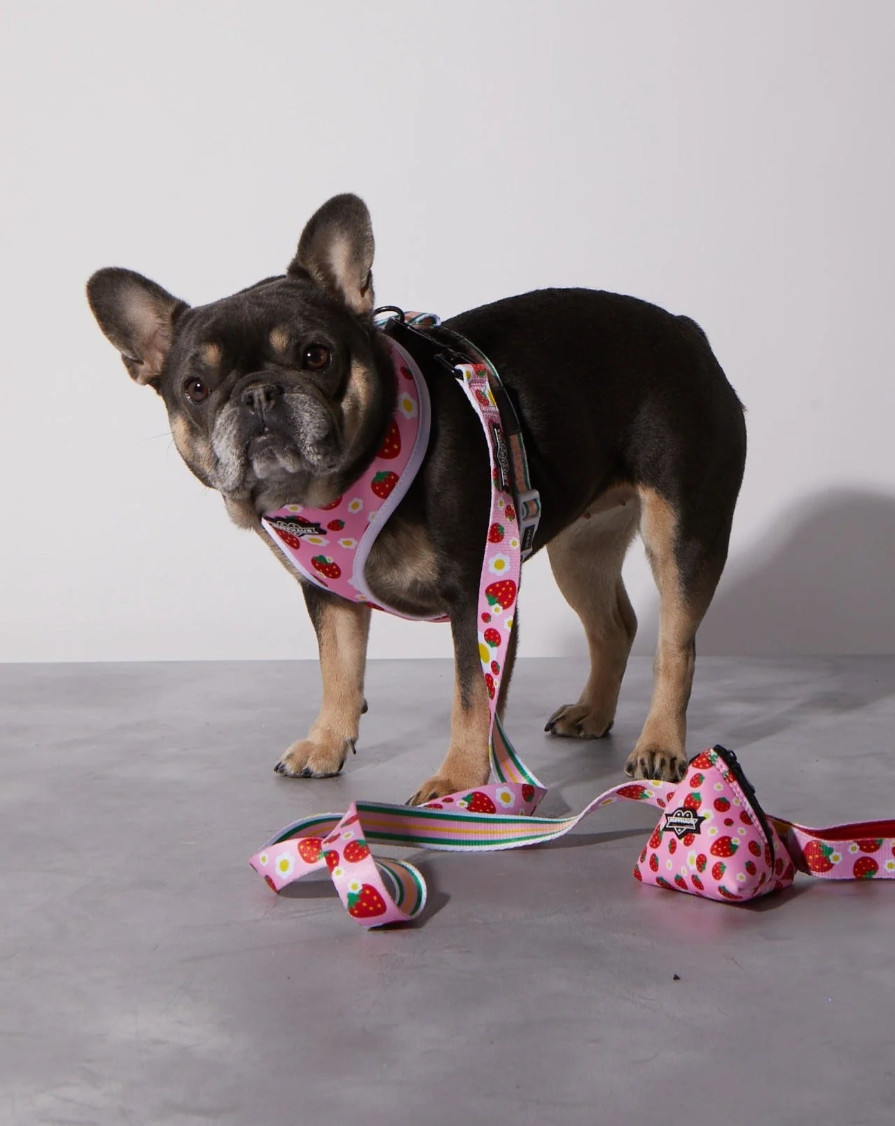 Strawberry Poop Bag Holder - Image 3