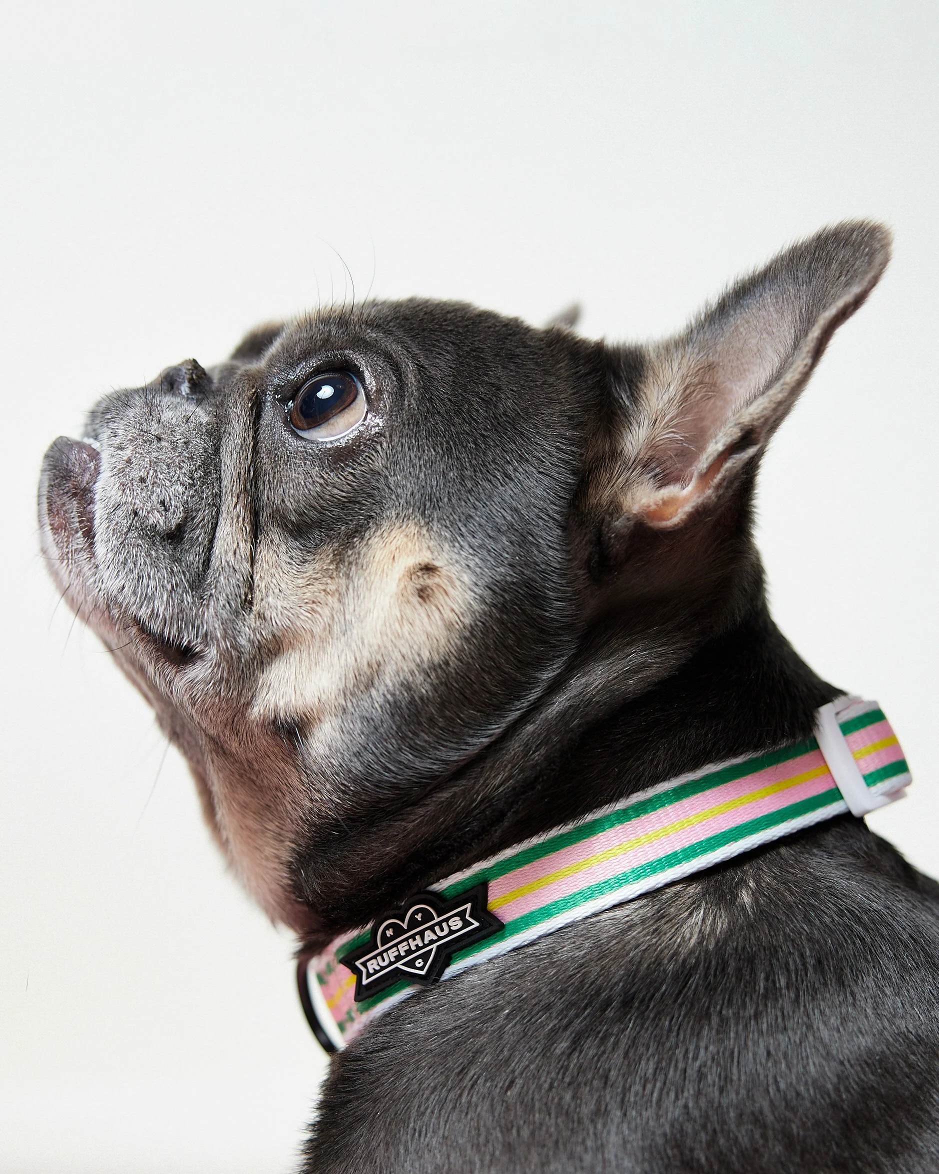 Strawberry Striped Collar & Bowtie - Image 3