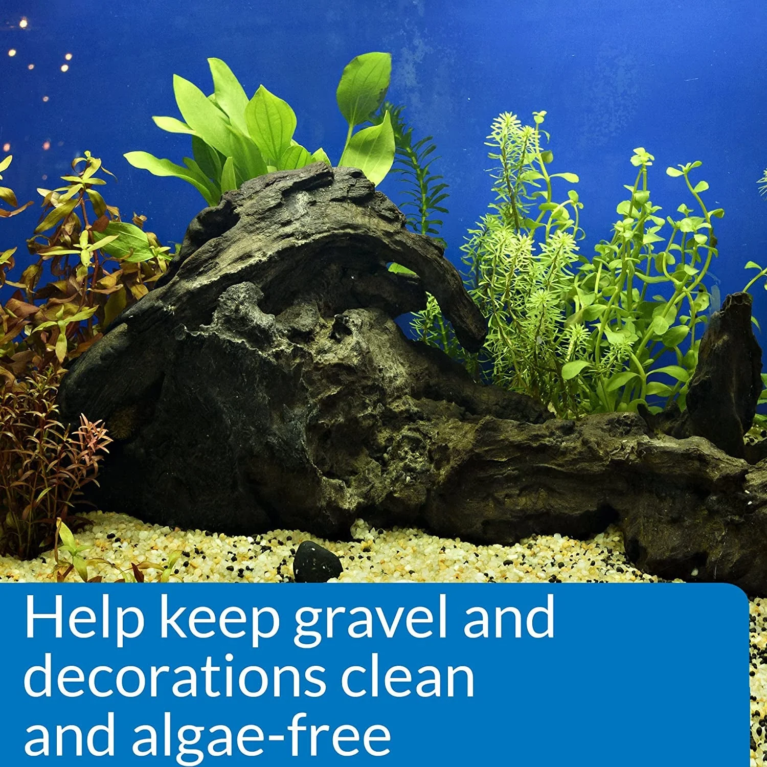STRESS ZYME Freshwater and Saltwater Aquarium - Image 4