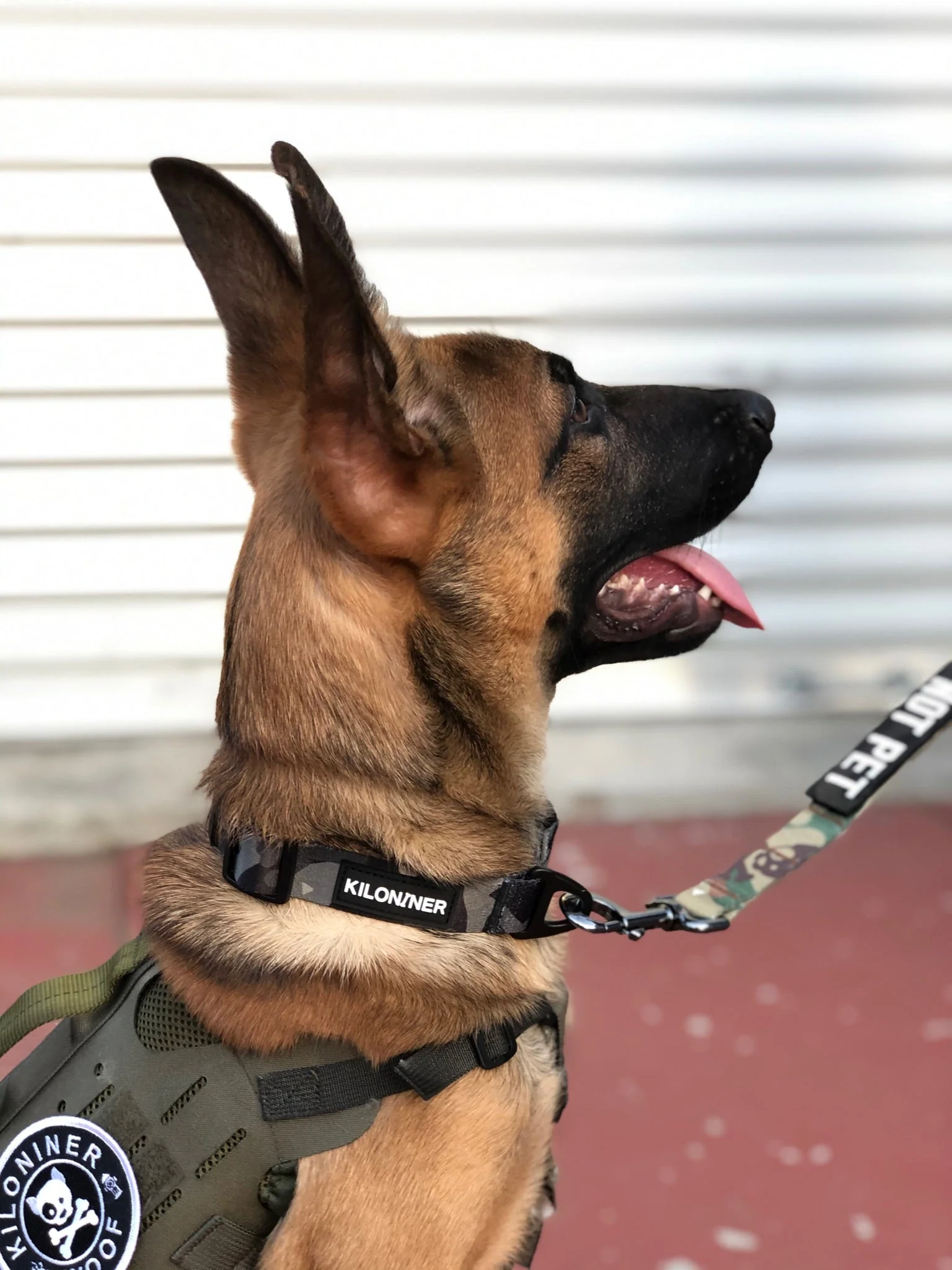 Strike Collar - Image 4