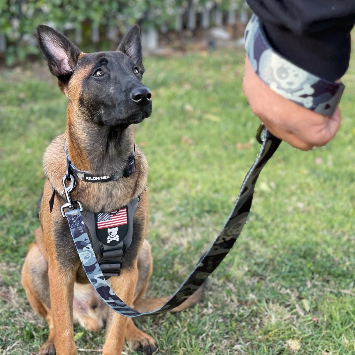 Strike Leash - Image 2