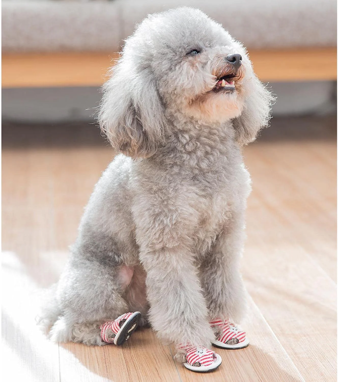 Striped Summer Dog Sandals with Cute Star Design Shoes - Image 3