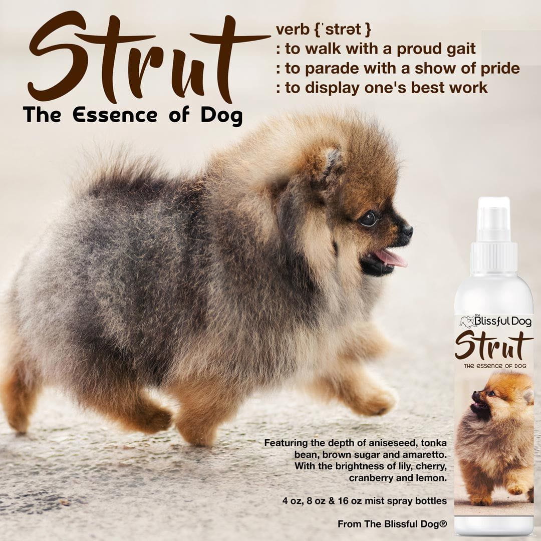 Strut Dog Cologne for the Ruler of the Kingdom - Image 2