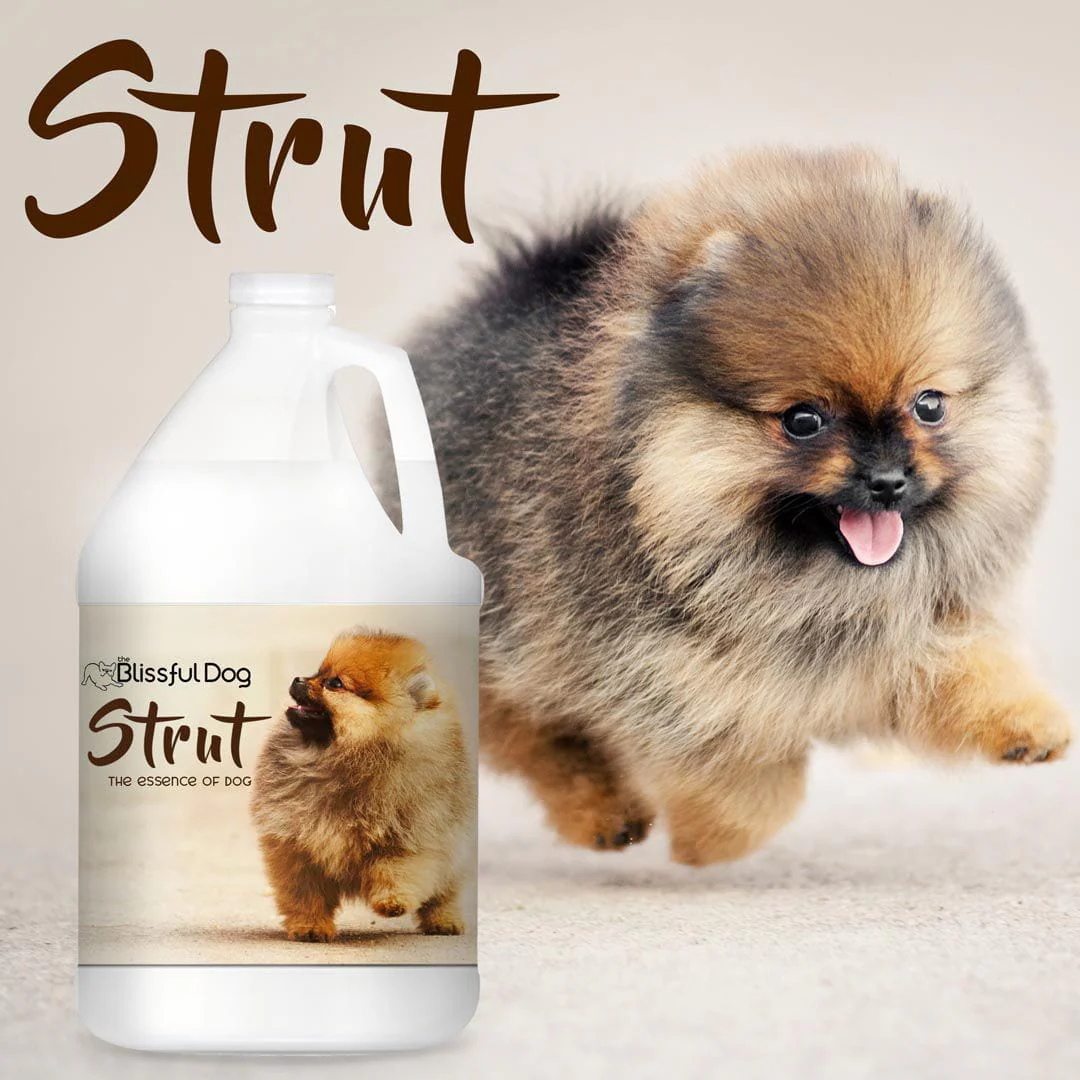 Strut Dog Cologne for the Ruler of the Kingdom - Image 5