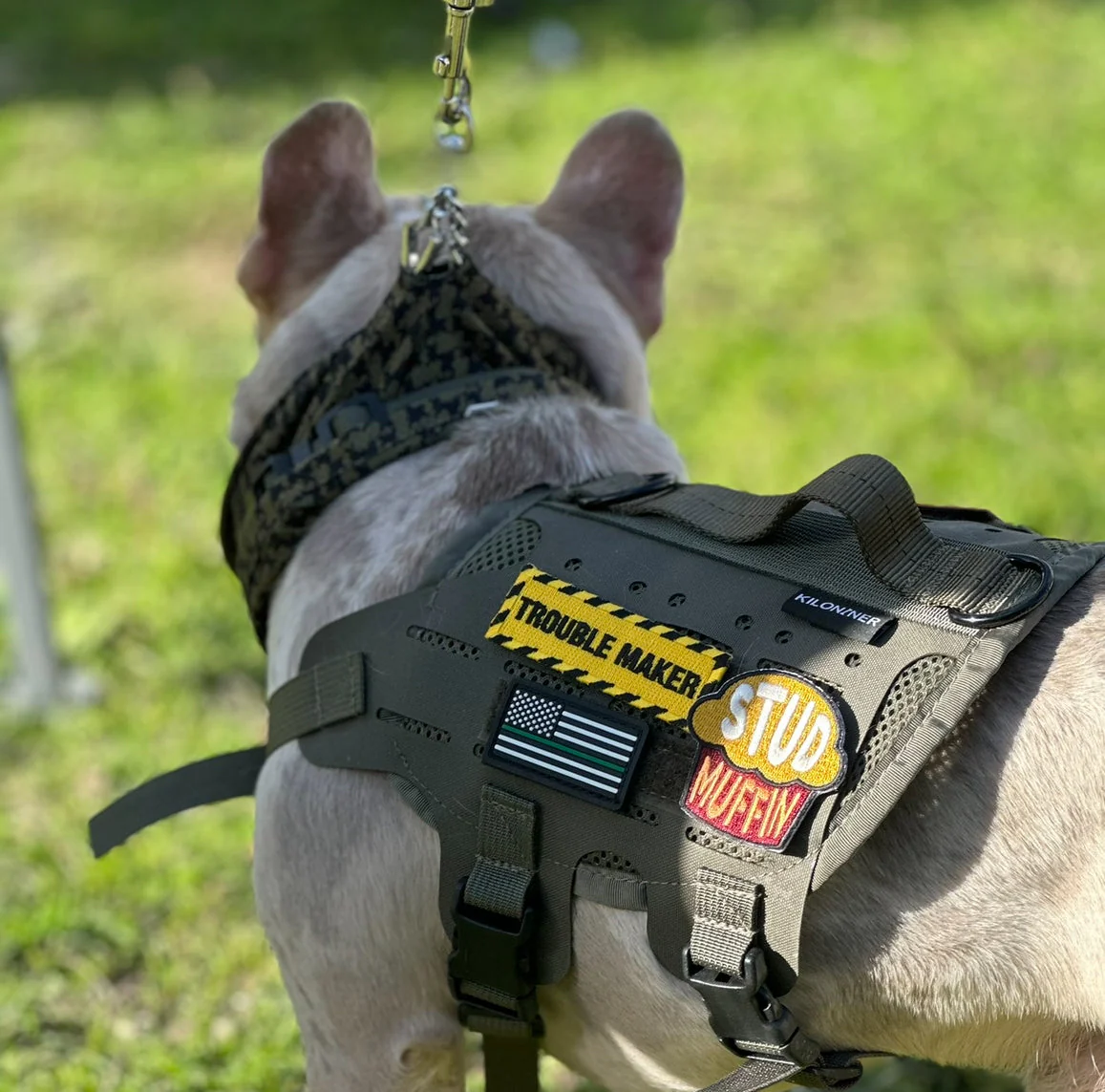 Stud Muffin Embroidered Morale Patch - Image 2