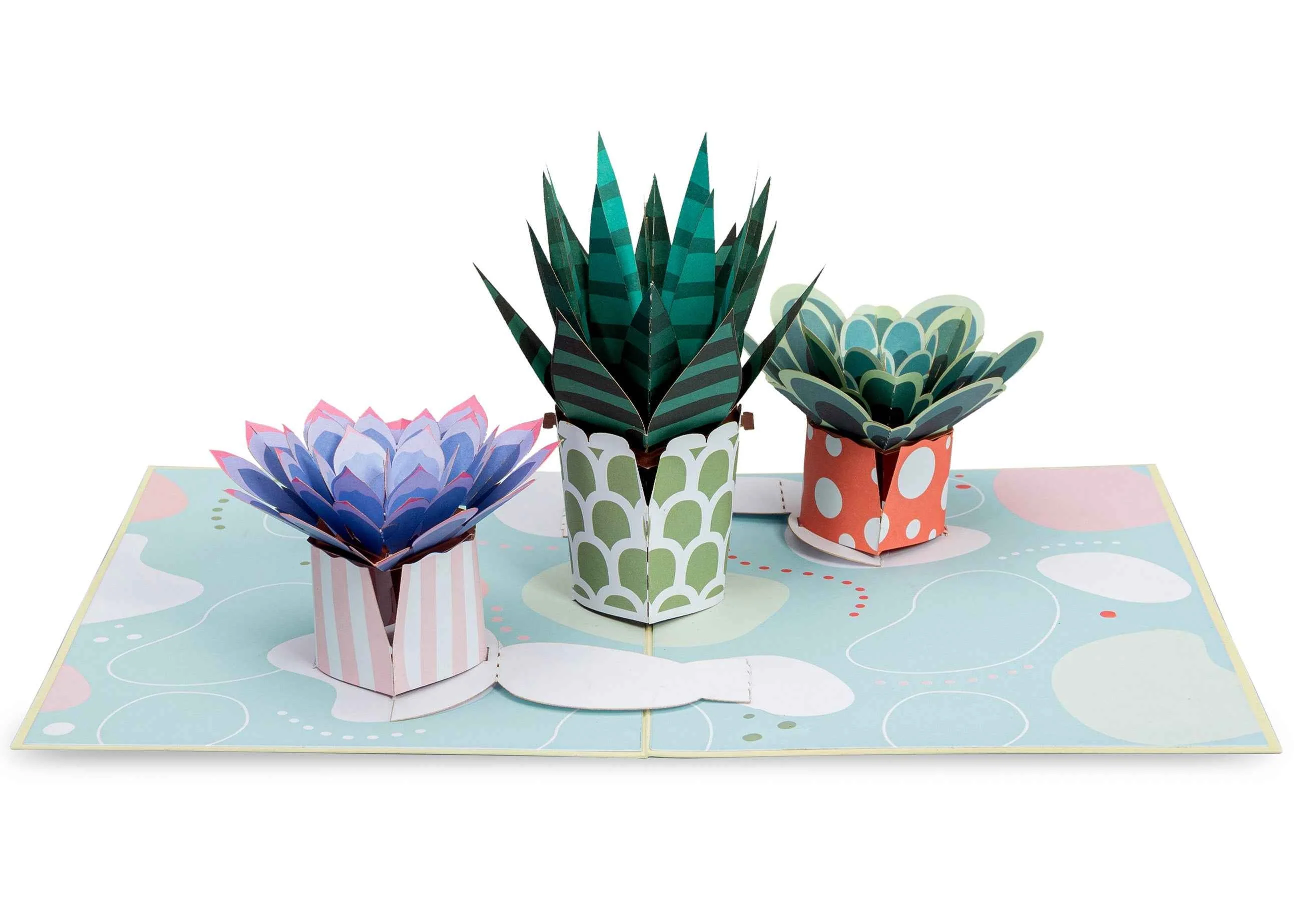 Succulents Pop Up Card - Image 3