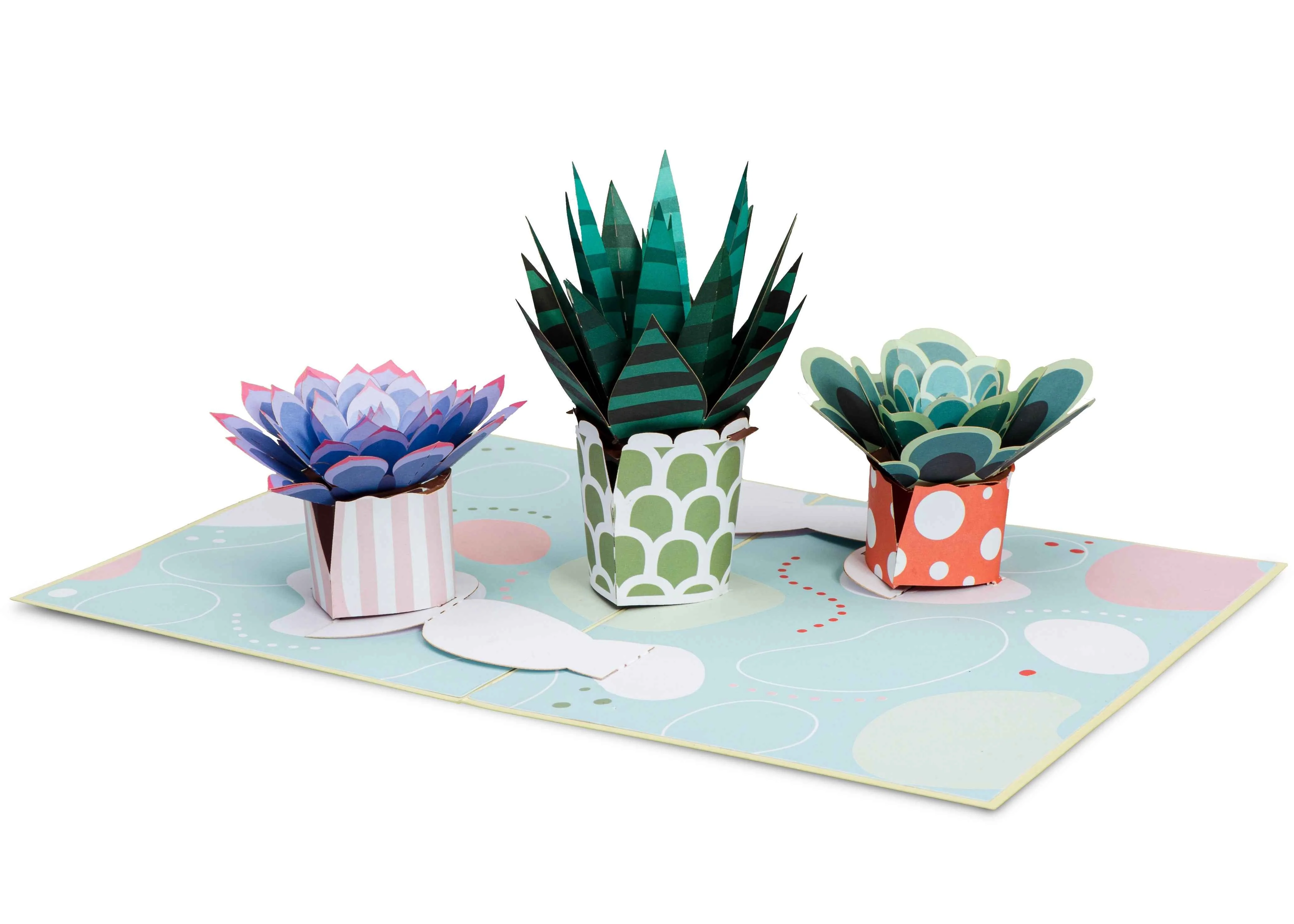 Succulents Pop Up Card - Image 4
