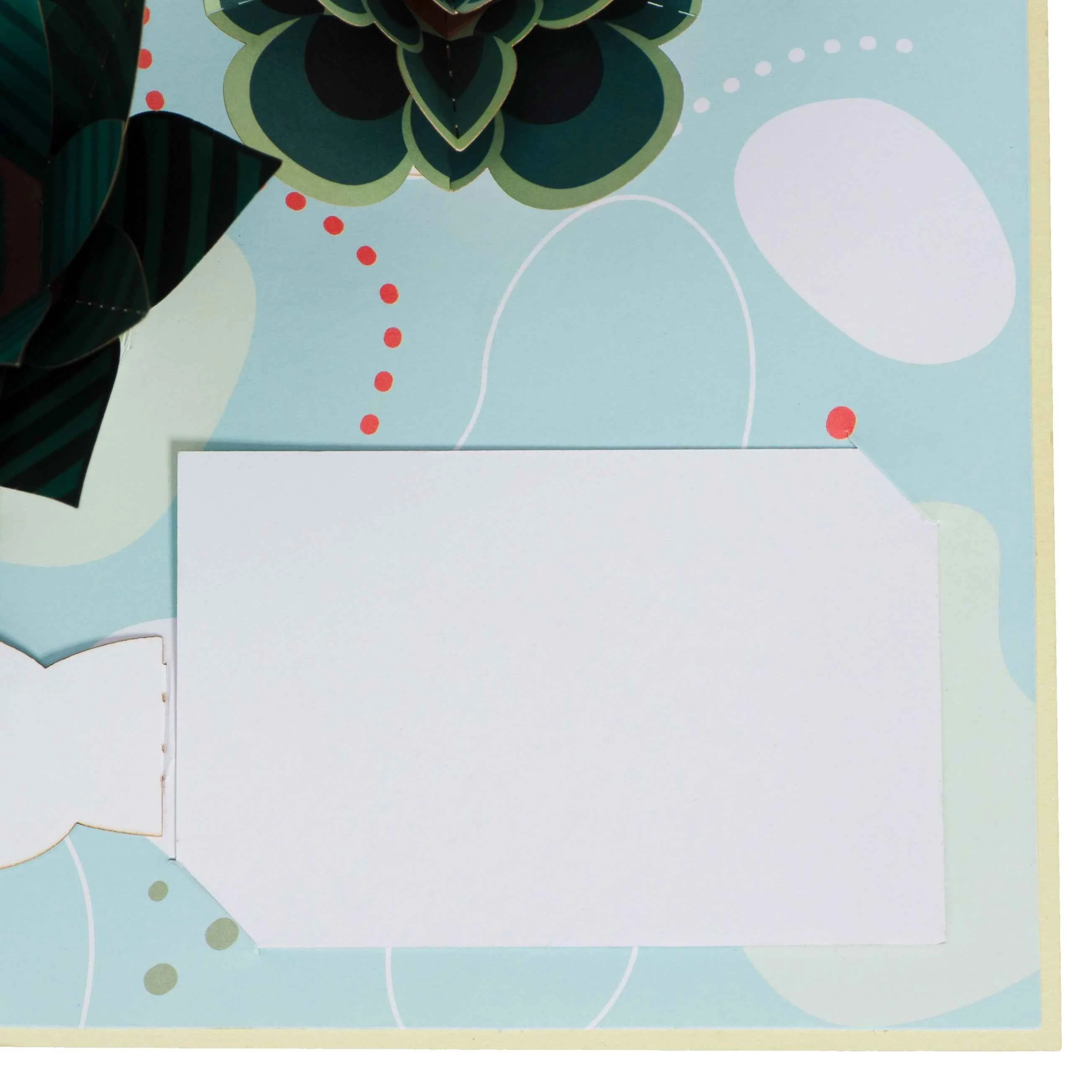 Succulents Pop Up Card - Image 5
