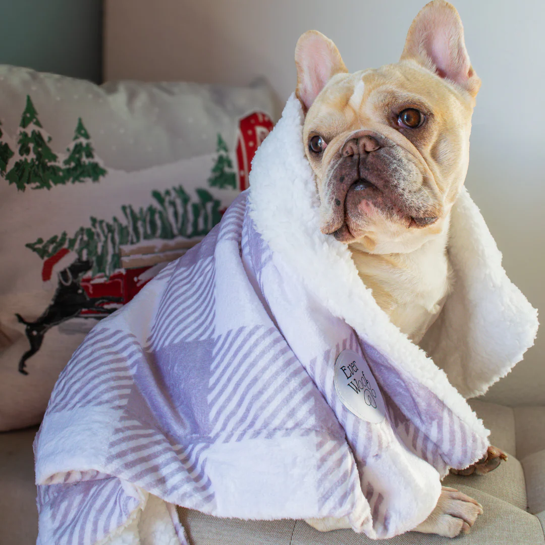 Sugar Plum Dog Blanket - Image 5