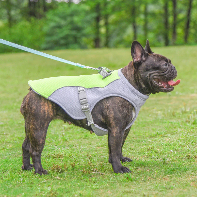 Summer Cooling Vest For Dogs - Image 3