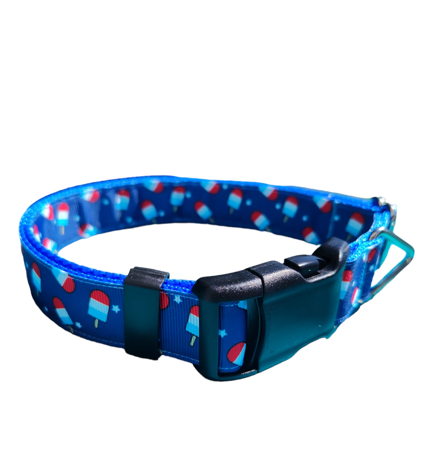 Summer Pop Blue Nylon Dog Collar MD, LG, XL, Leash - Image 2