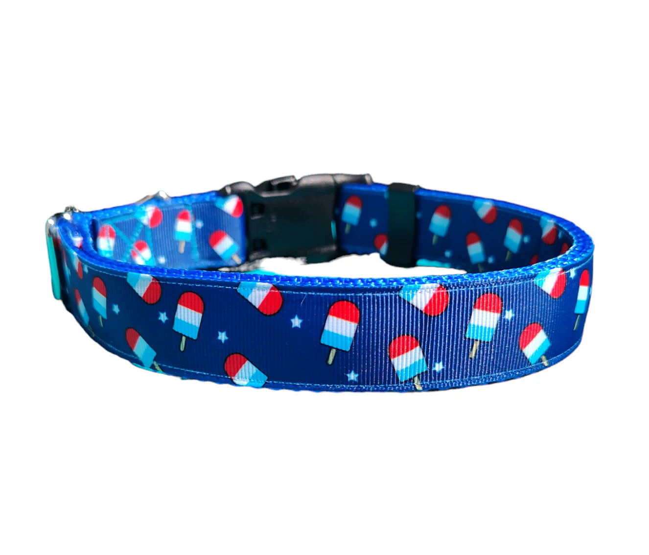 Summer Pop Blue Nylon Dog Collar MD, LG, XL, Leash - Image 3