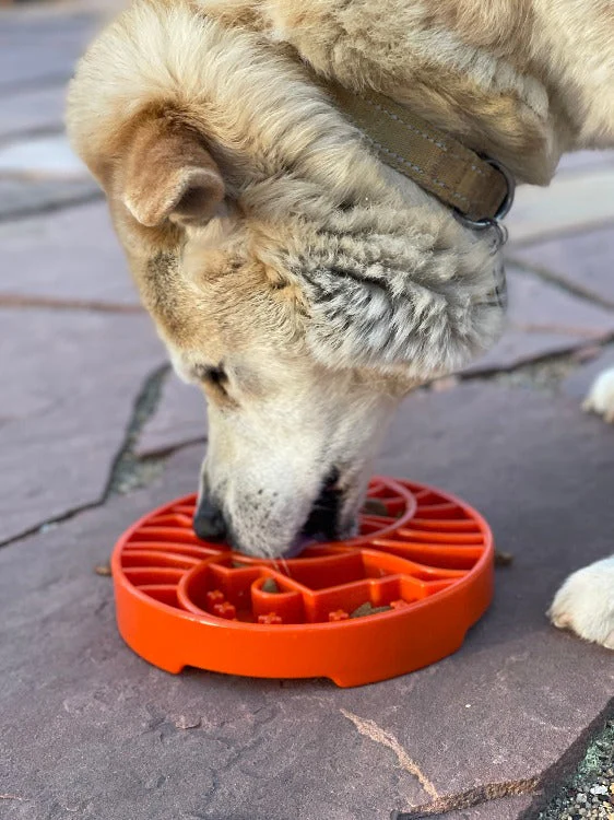 Sun and Moon eTray - Shallow Slow Feeder Dog Bowl for Enrichment | USA Made - Image 11