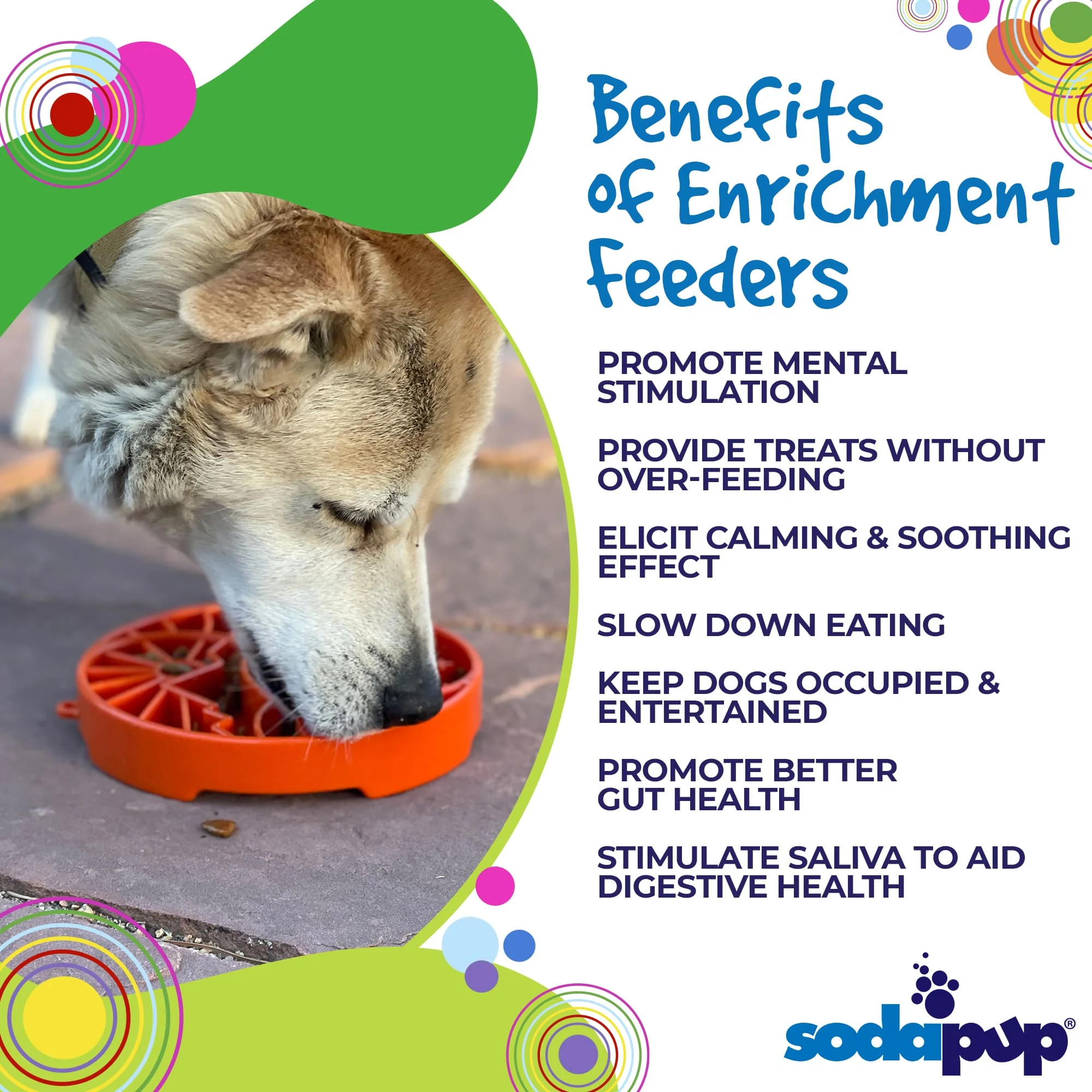 Sun and Moon eTray - Shallow Slow Feeder Dog Bowl for Enrichment | USA Made - Image 3
