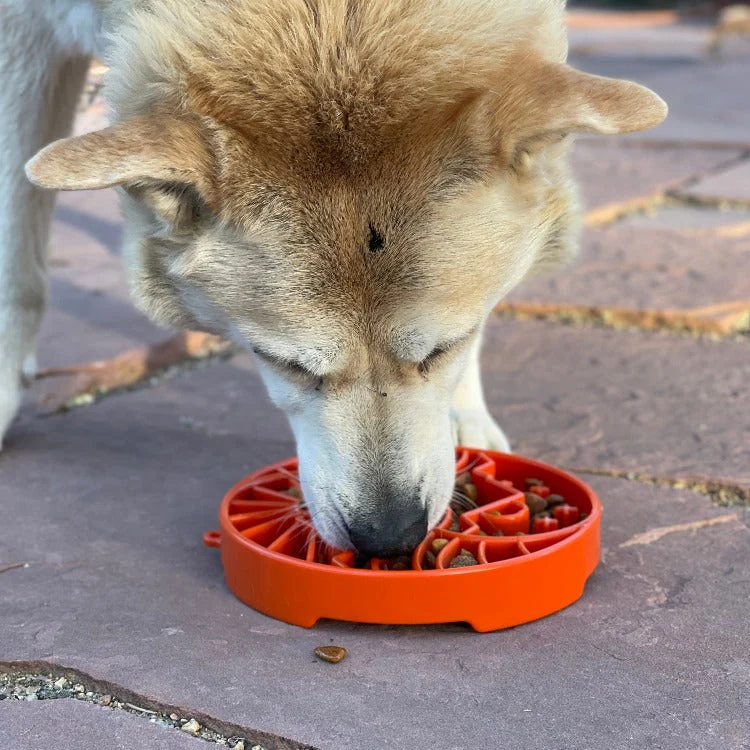 Sun and Moon eTray - Shallow Slow Feeder Dog Bowl for Enrichment | USA Made - Image 6