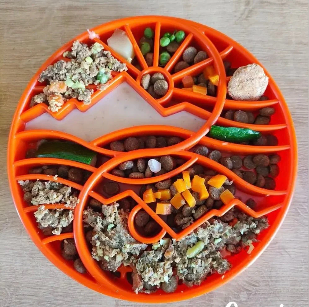 Sun and Moon eTray - Shallow Slow Feeder Dog Bowl for Enrichment | USA Made - Image 7
