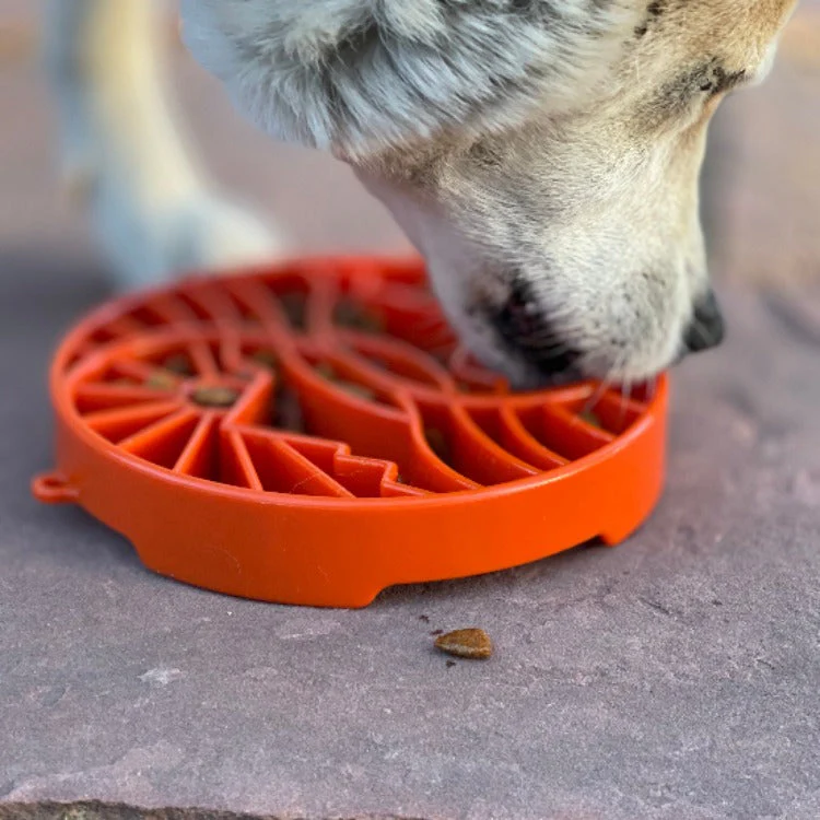 Sun and Moon eTray - Shallow Slow Feeder Dog Bowl for Enrichment | USA Made - Image 8